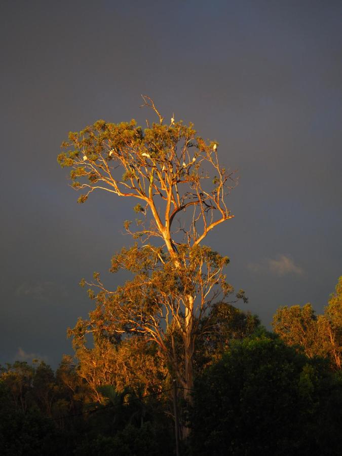 Lake Weyba Cottages Noosa