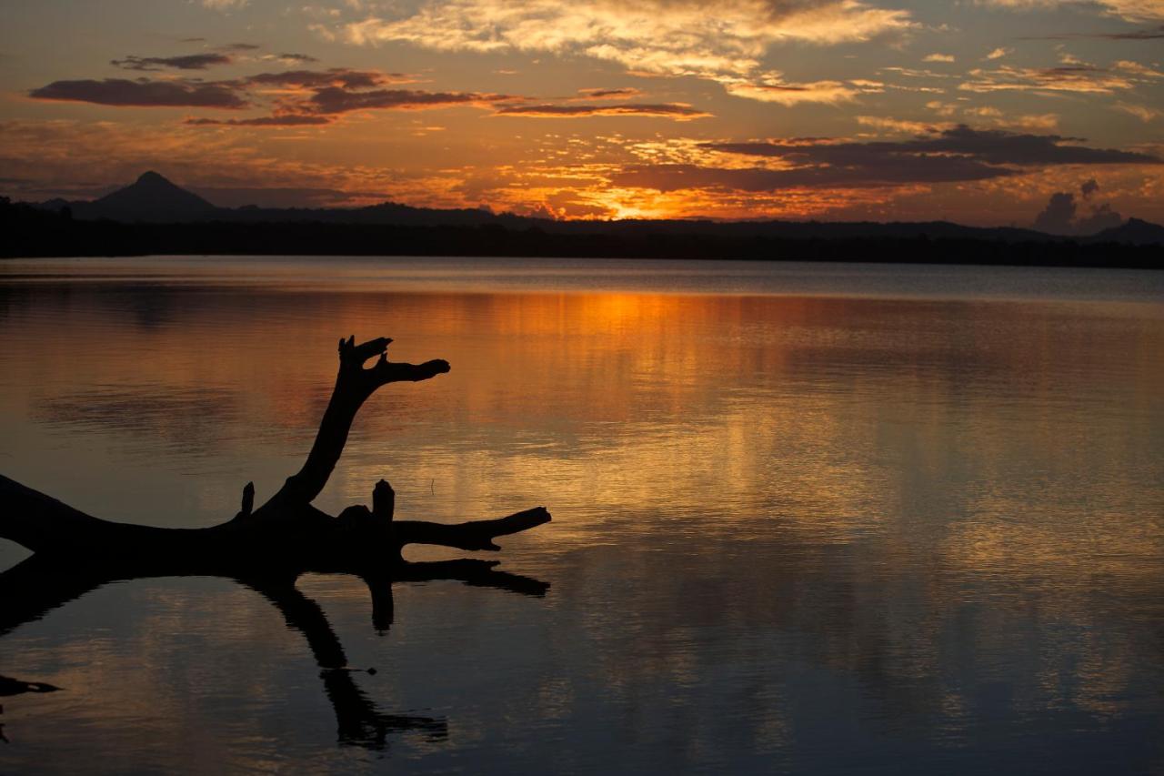 Lake Weyba Cottages Noosa