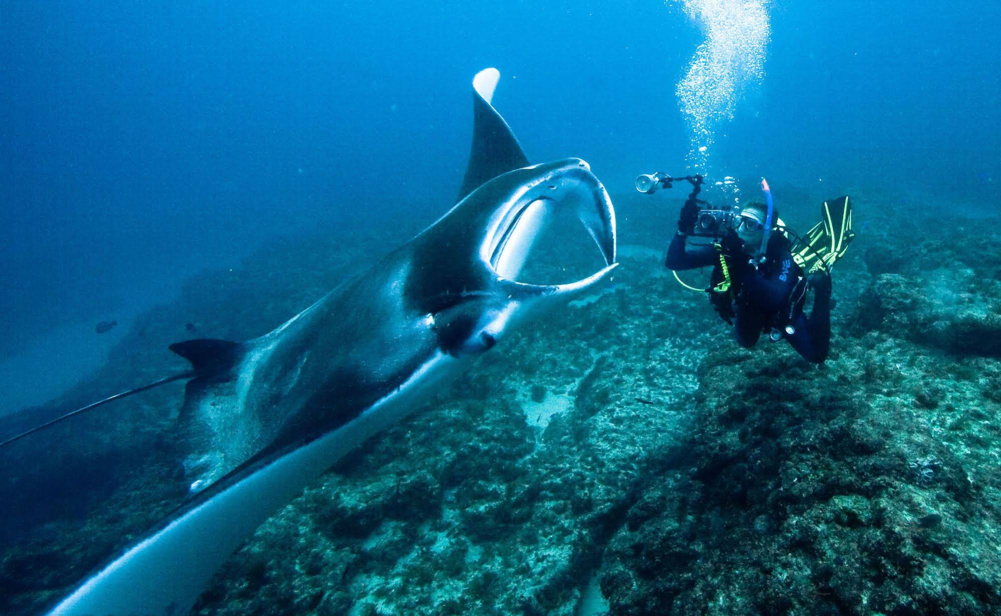 Manta Lodge & Scuba Centre