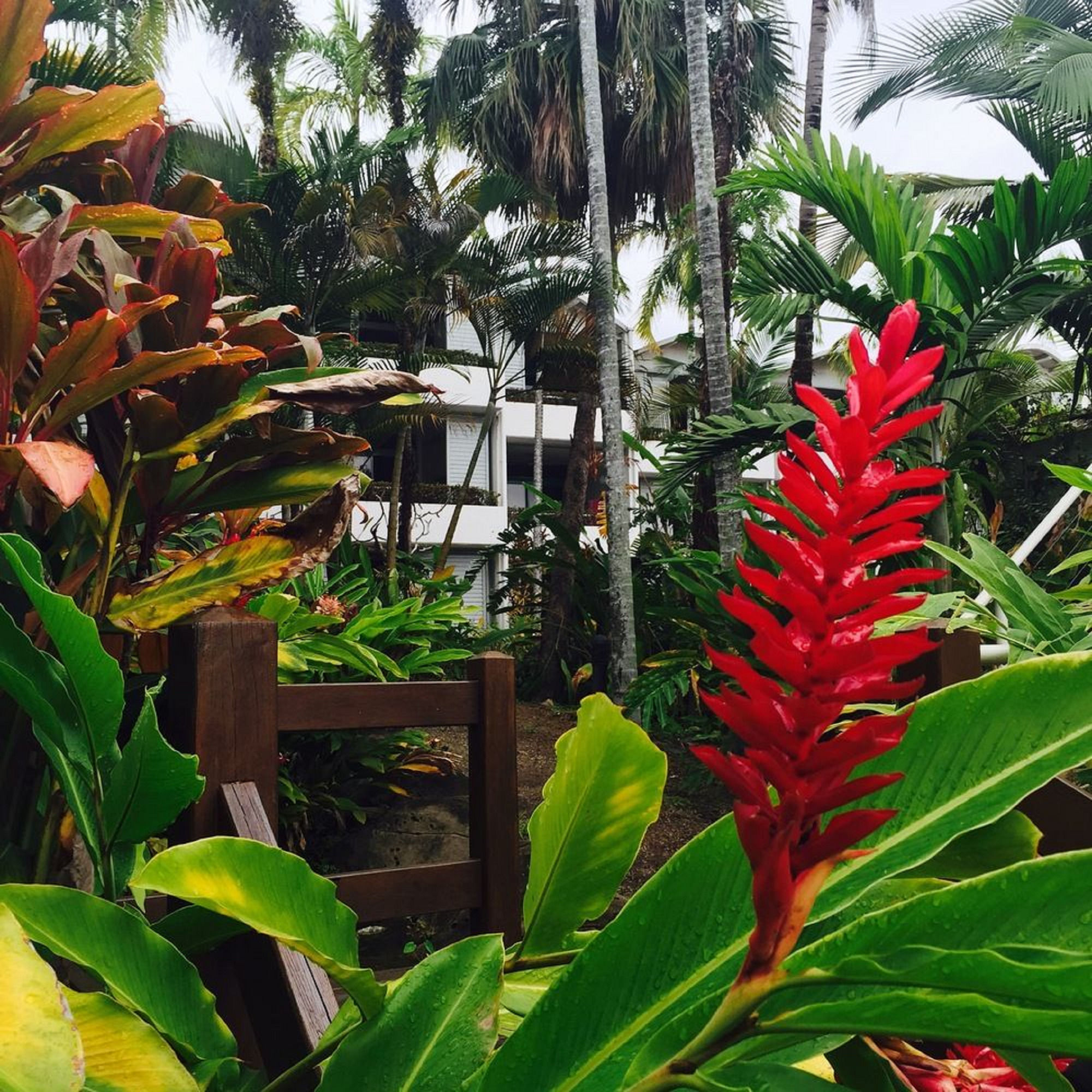 Club Tropical Resort