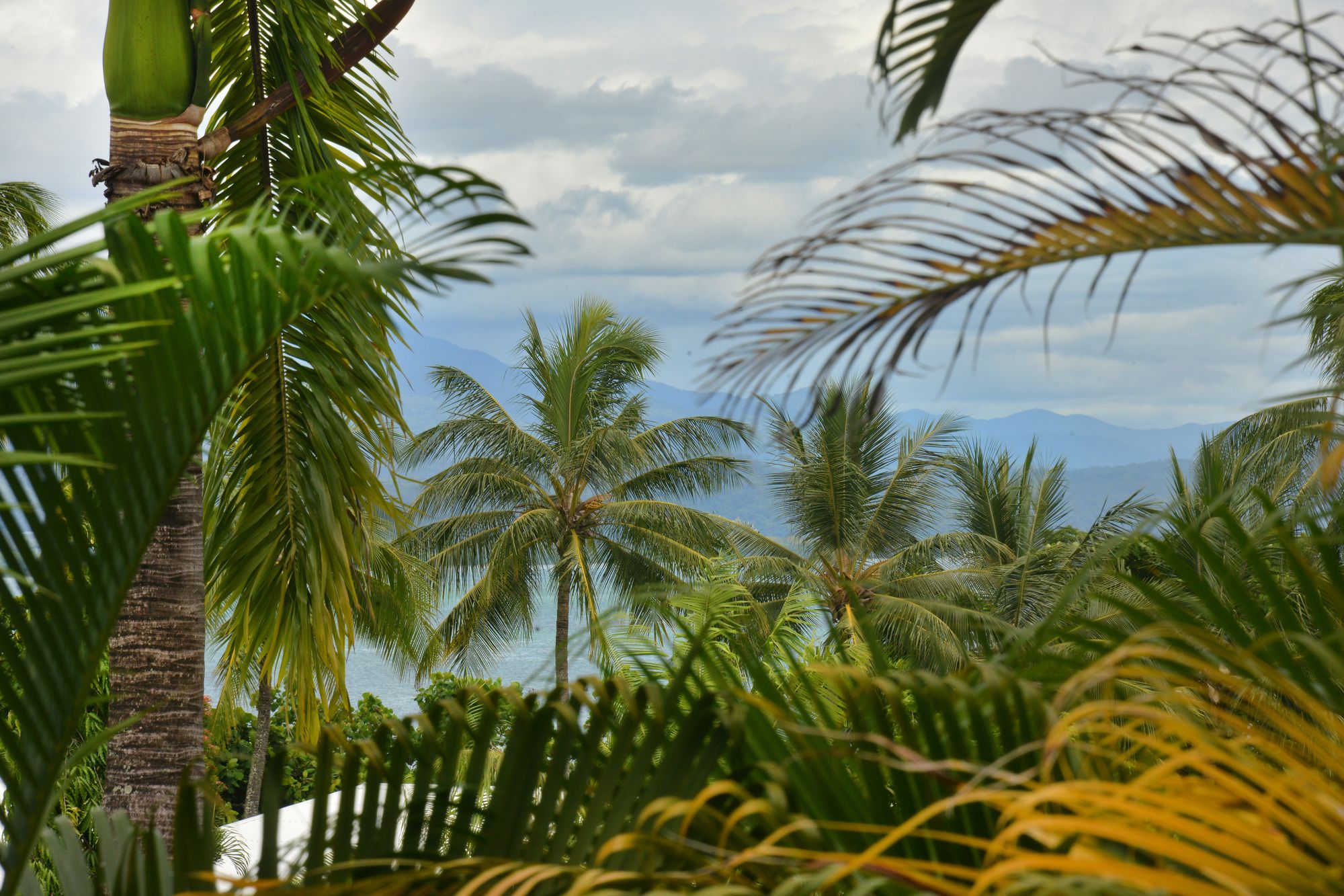 Club Tropical Resort