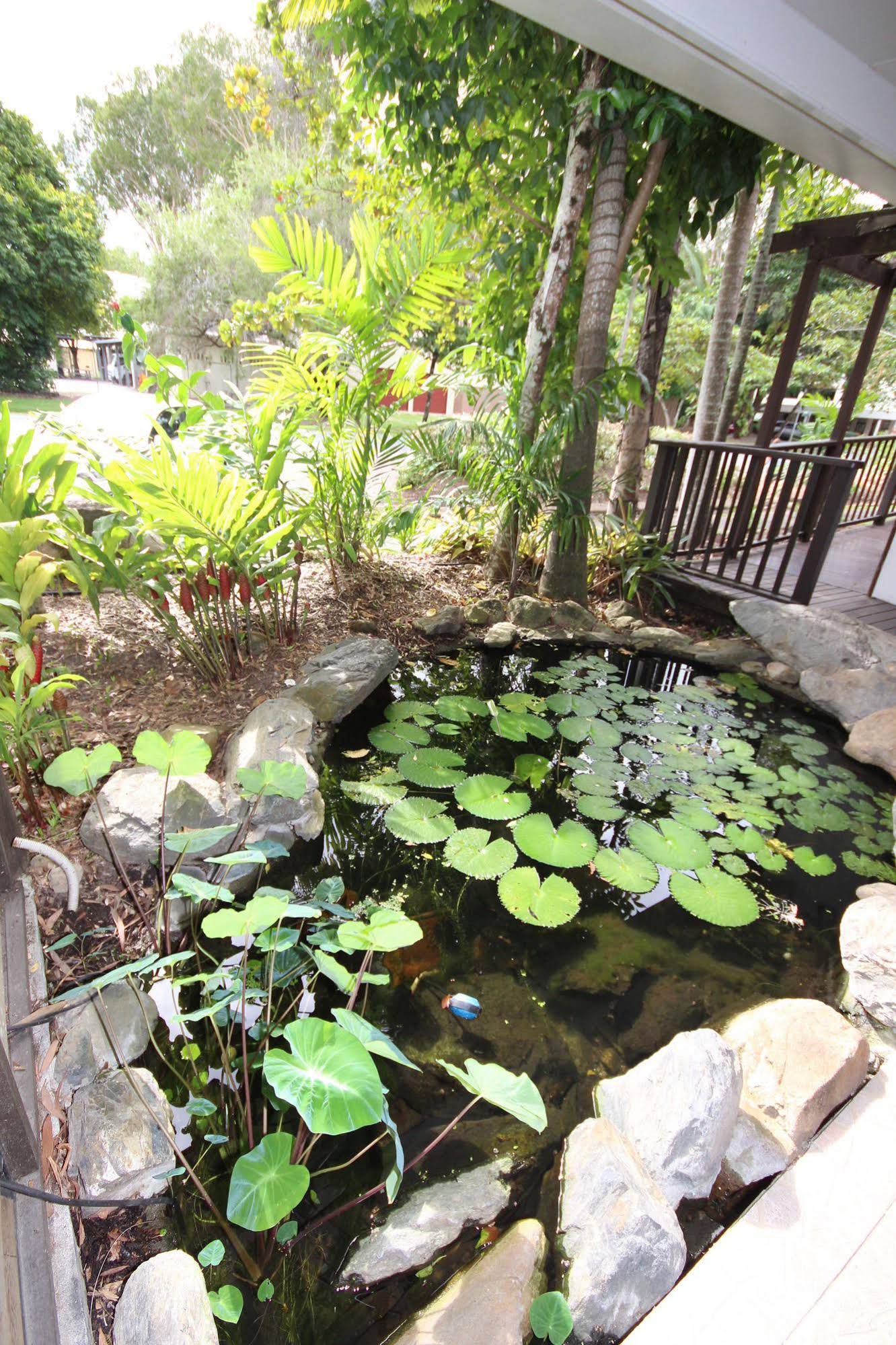 Hibiscus Resort and Spa