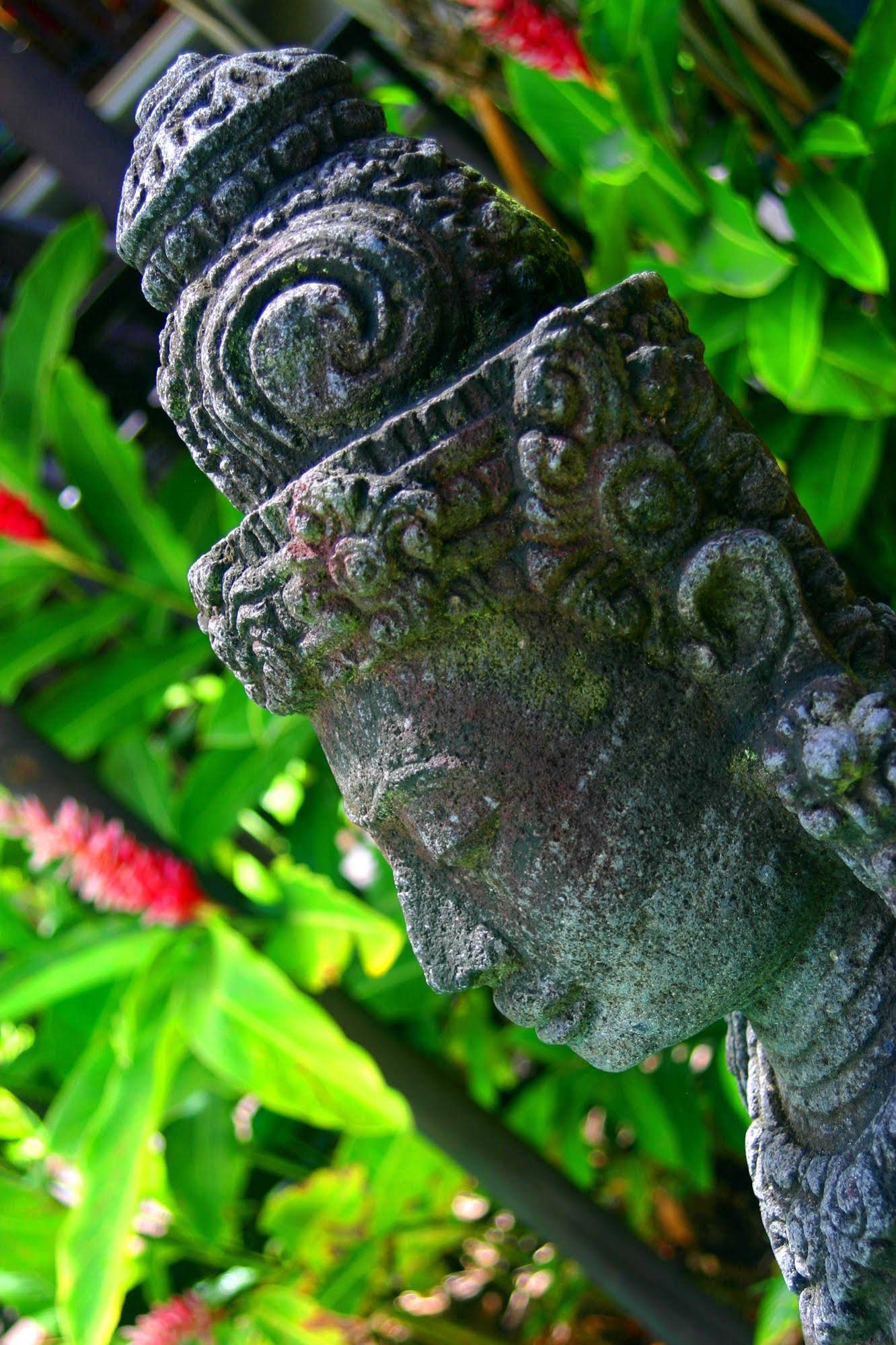 Hibiscus Resort and Spa