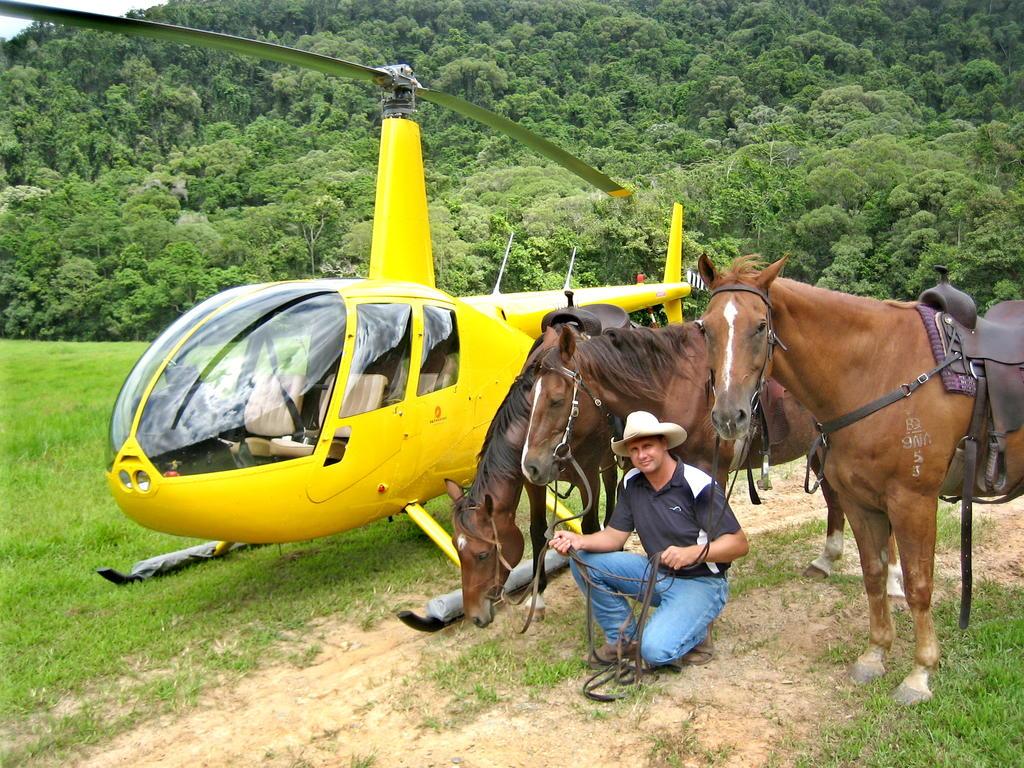 Martinique On Macrossan