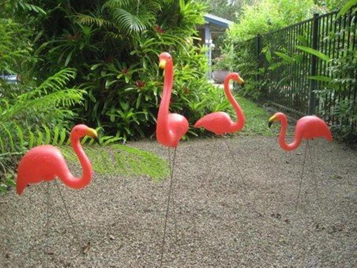 Pink Flamingo