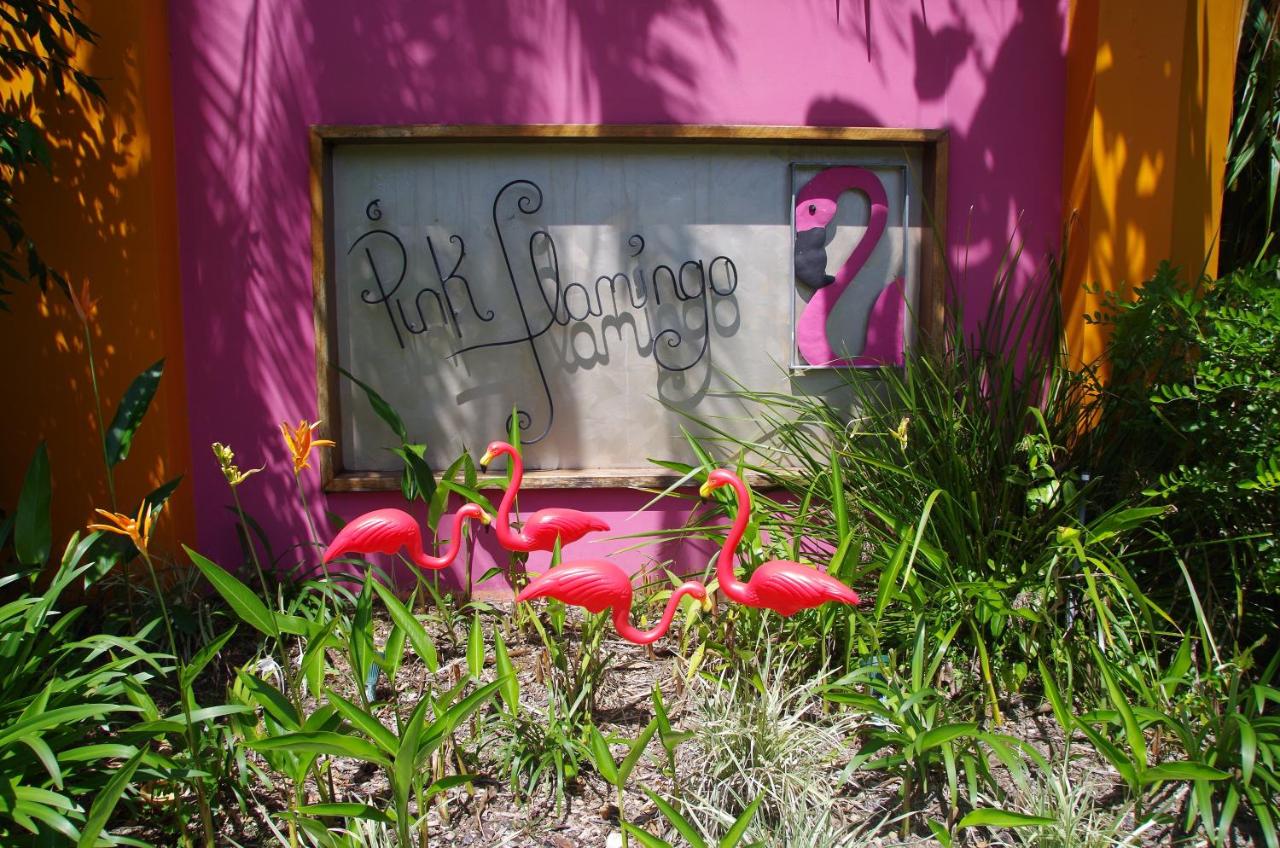 Pink Flamingo