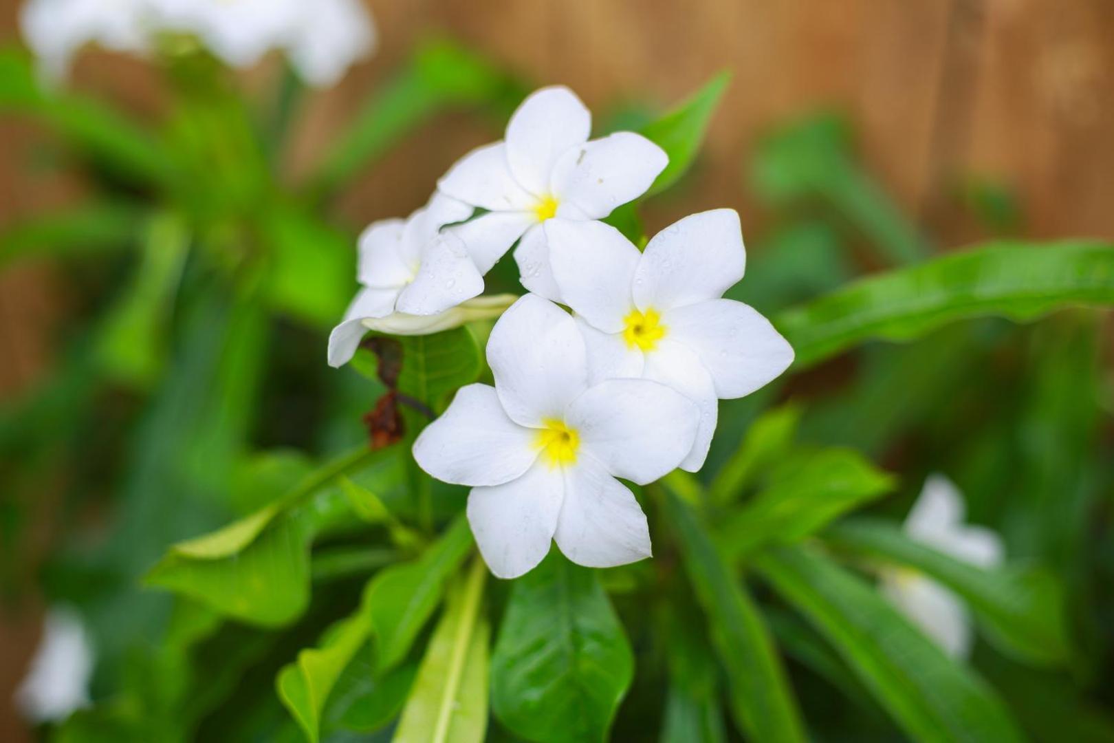 Uyoung Diving Resort