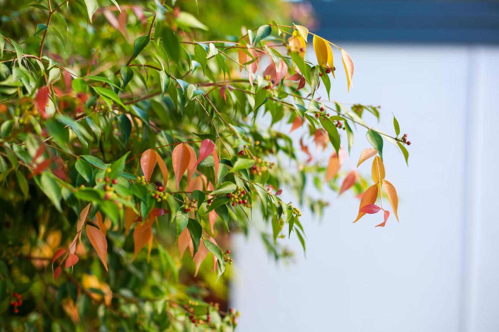 Uyoung Diving Resort