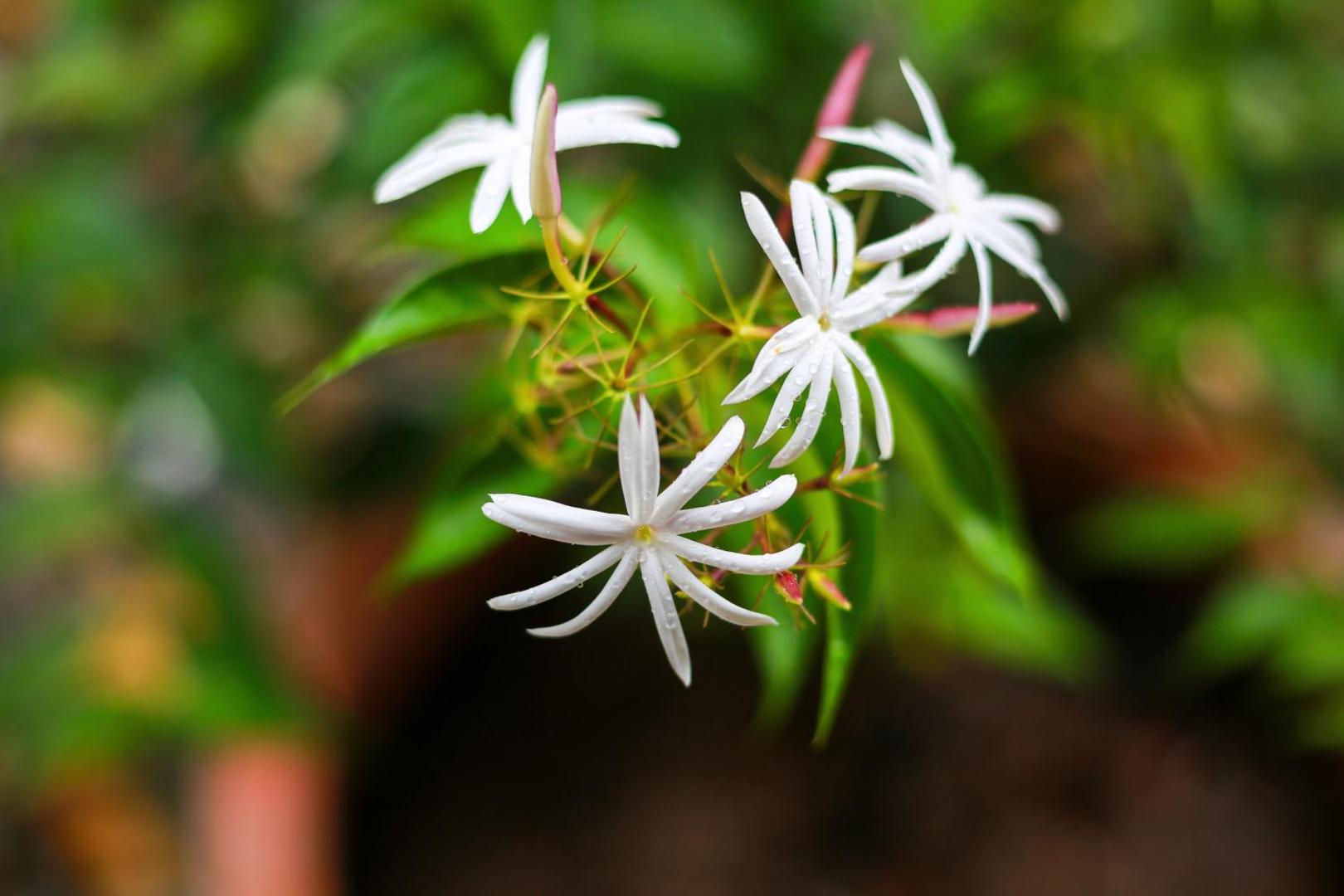 Uyoung Diving Resort