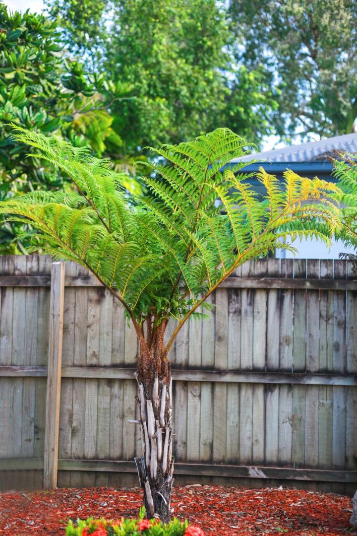 Uyoung Diving Resort