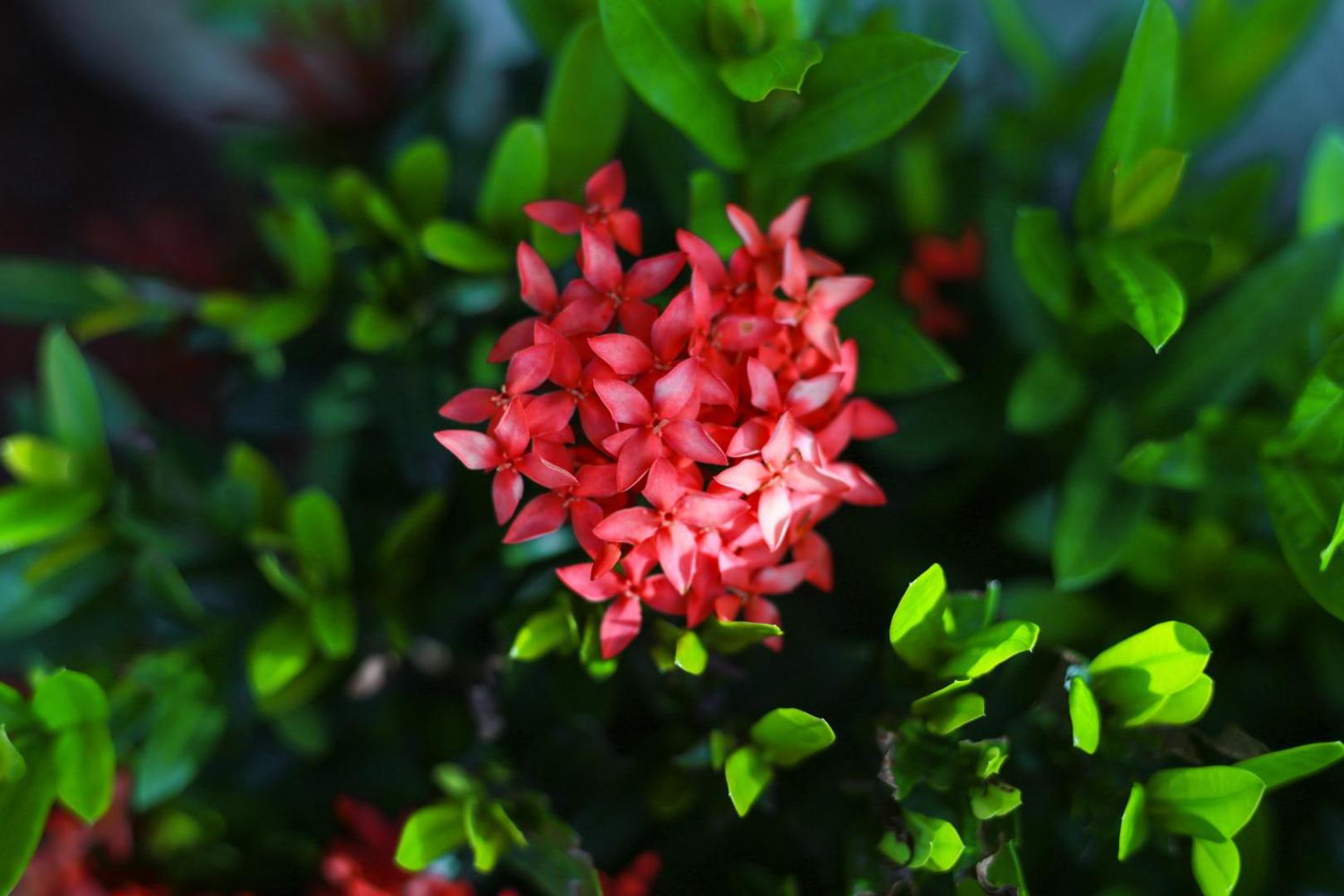 Uyoung Diving Resort