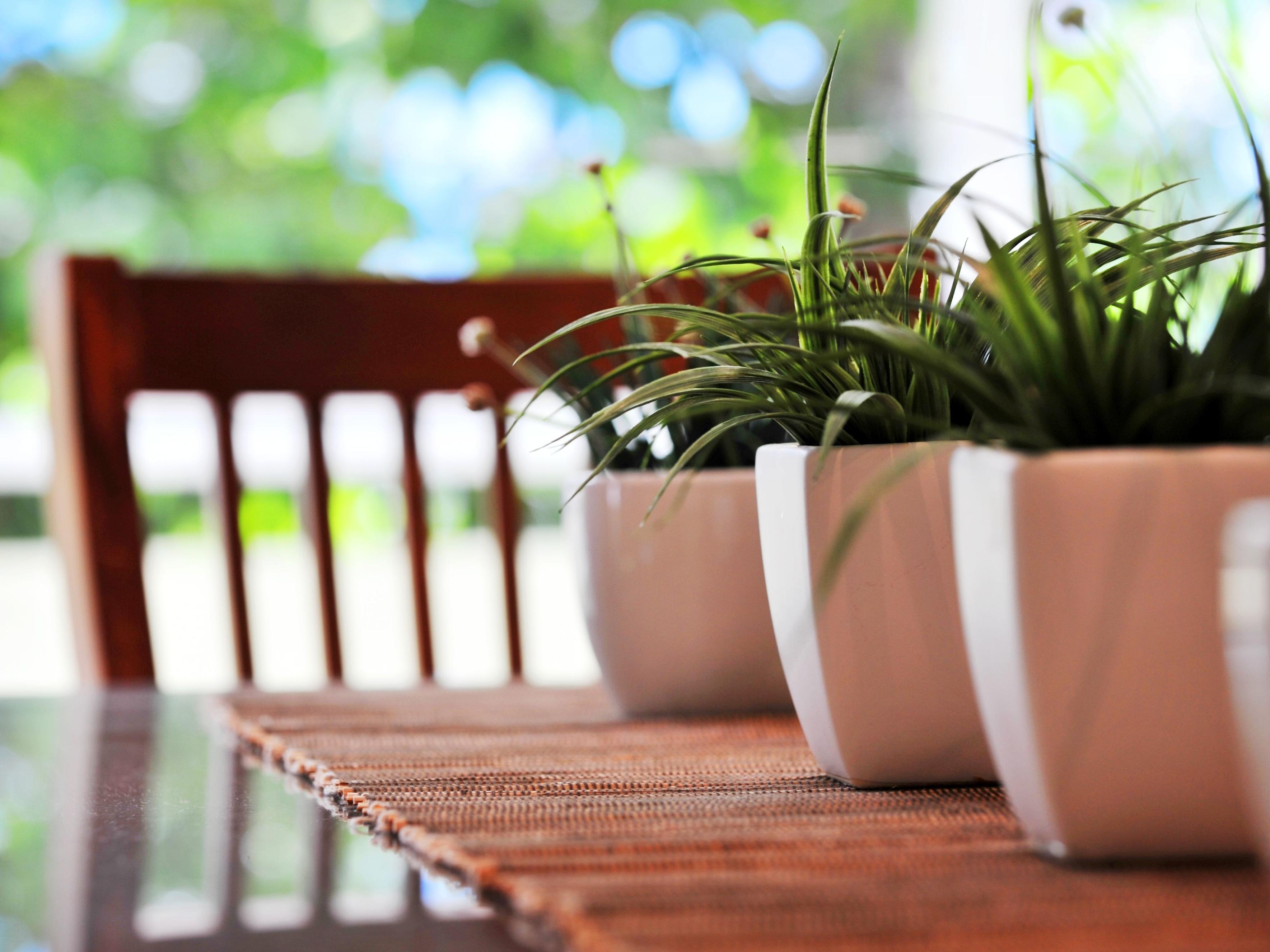 Verandahs Boutique Apartments