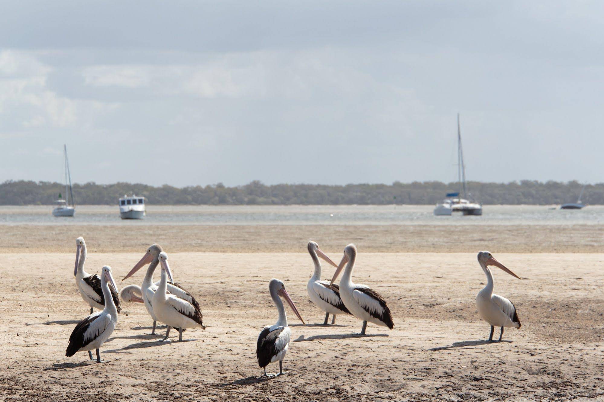 Rainbow Beach Holiday Park