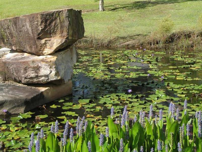 Tuckeroo Cottages & Gardens