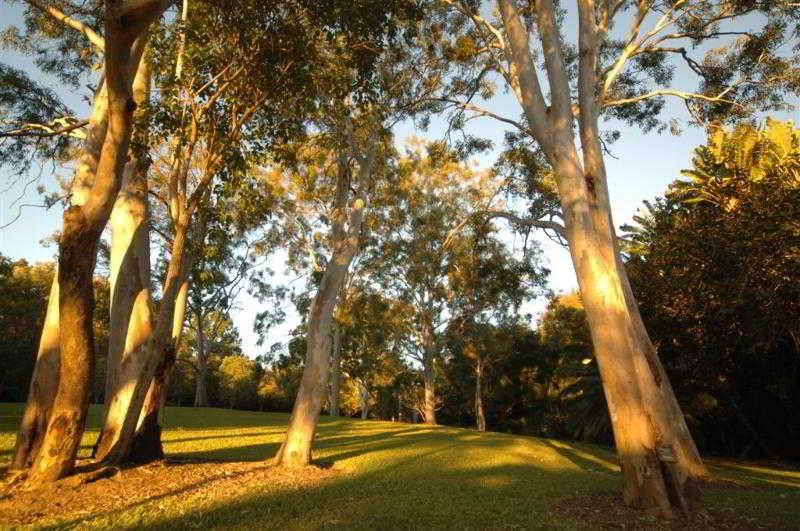 Best Western Cattle City Motor Inn