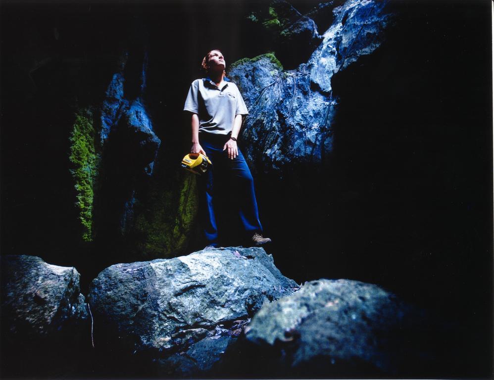 Capricorn Caves