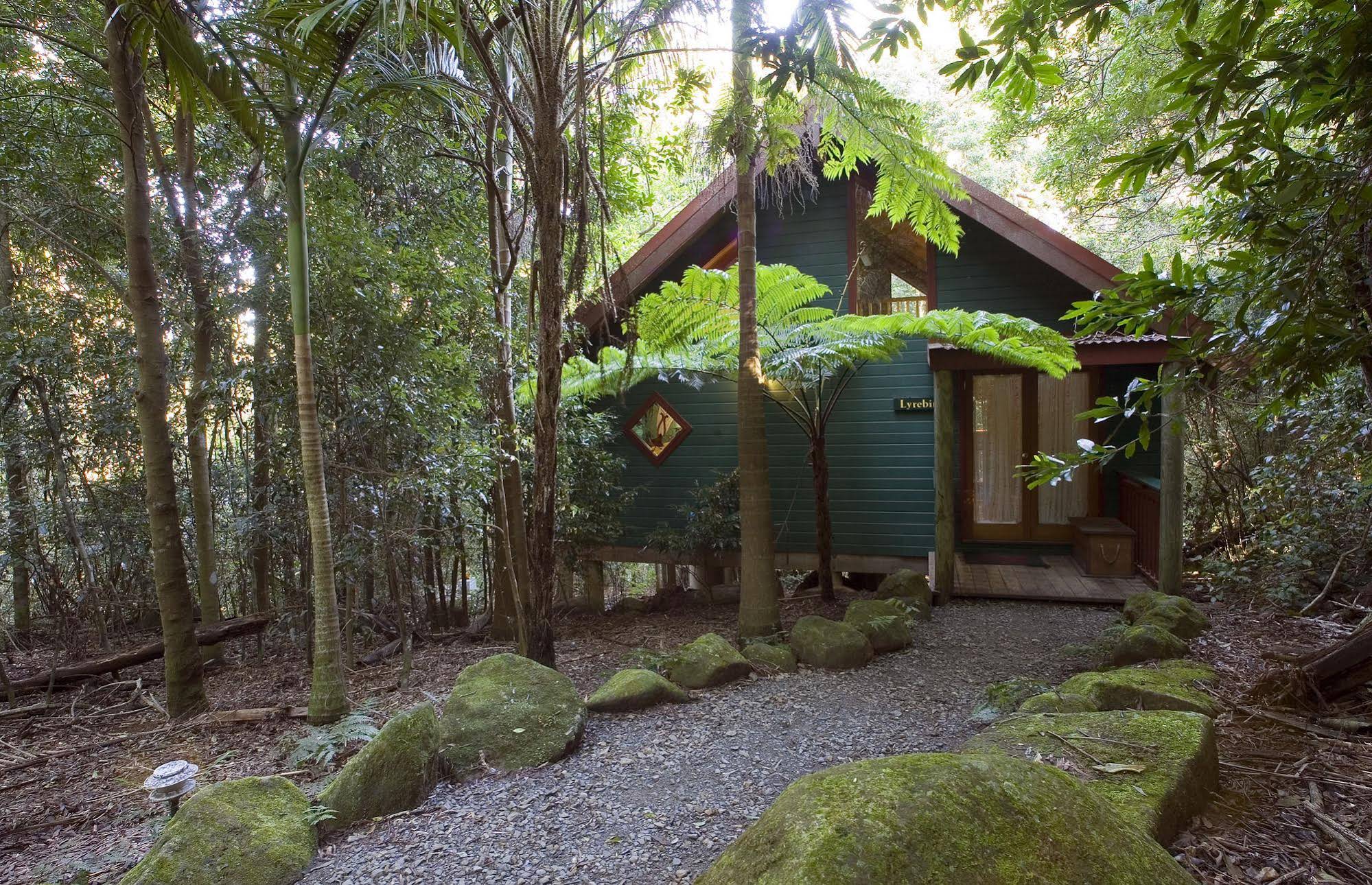 Springbrook Lyrebird Retreat