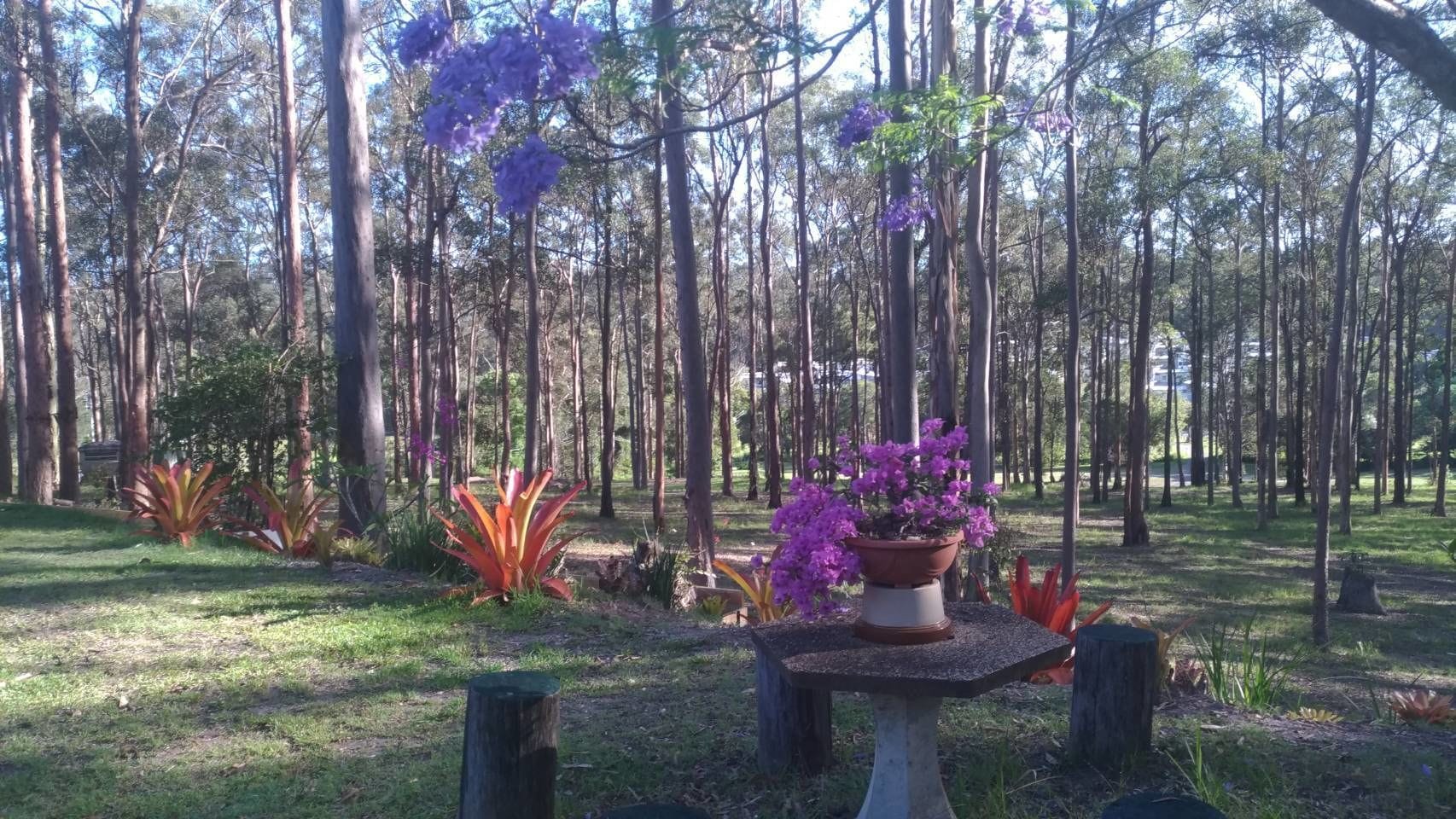 Bodhi Chan Mediatation Centre