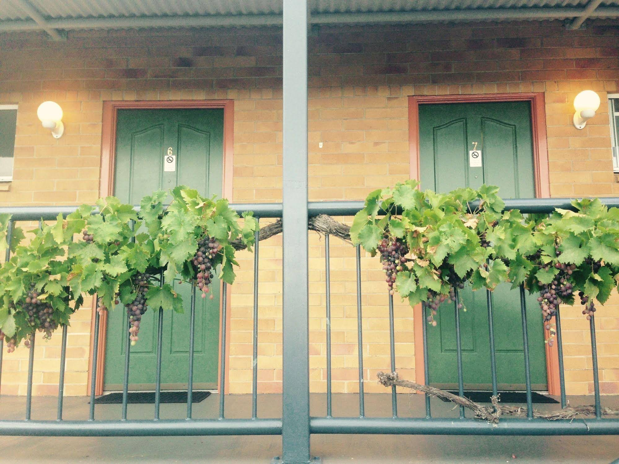 The Vines Motel And Cottages