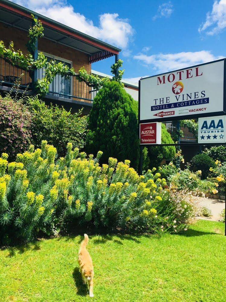The Vines Motel And Cottages