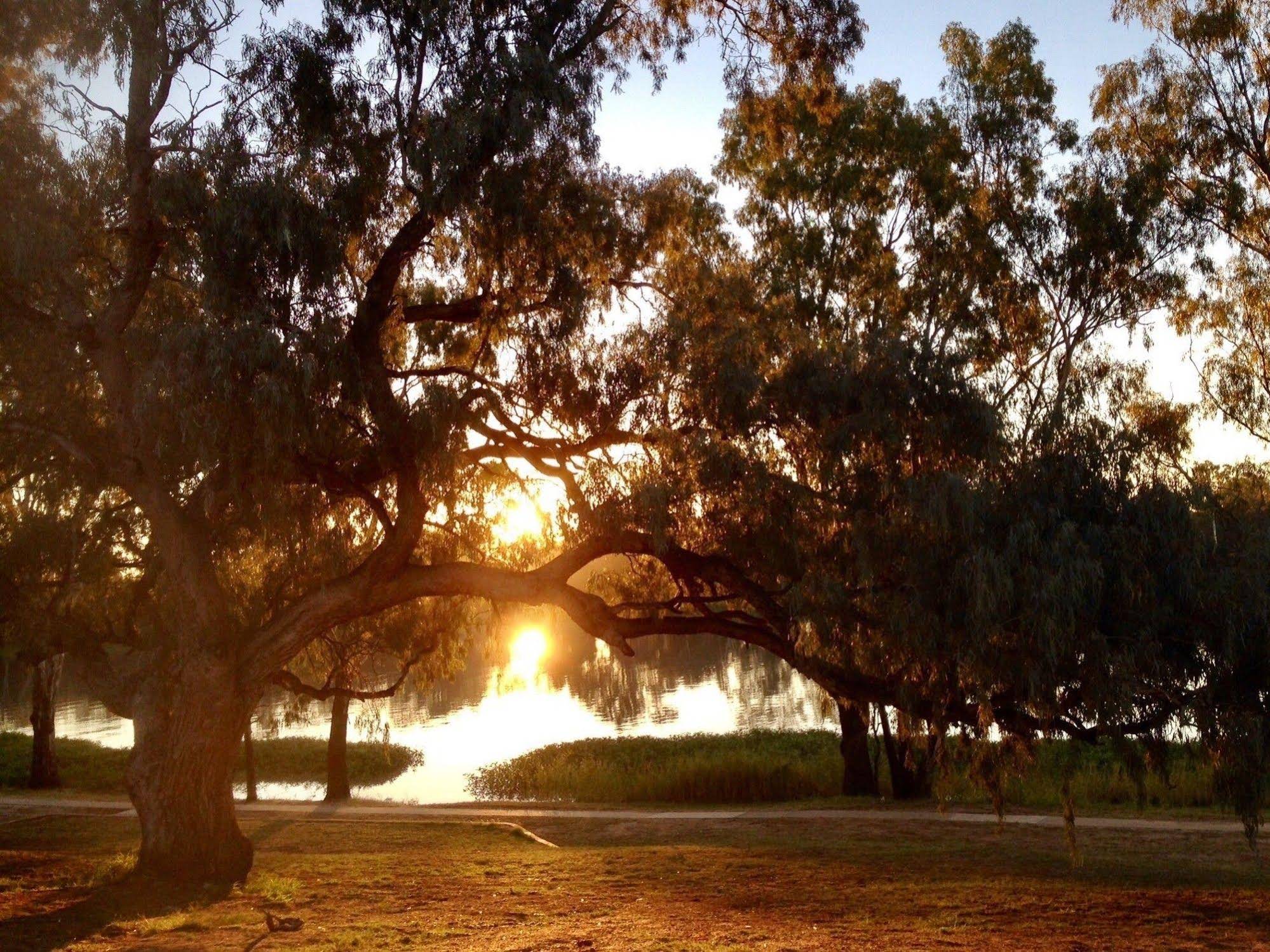 Balonne River Motor Inn