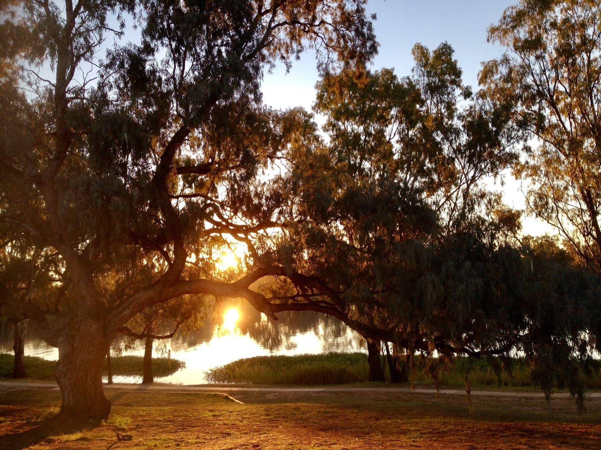Balonne River Motor Inn