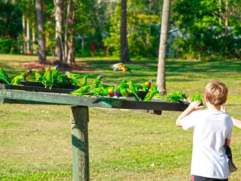 BIG 4 Forest Glen Resort