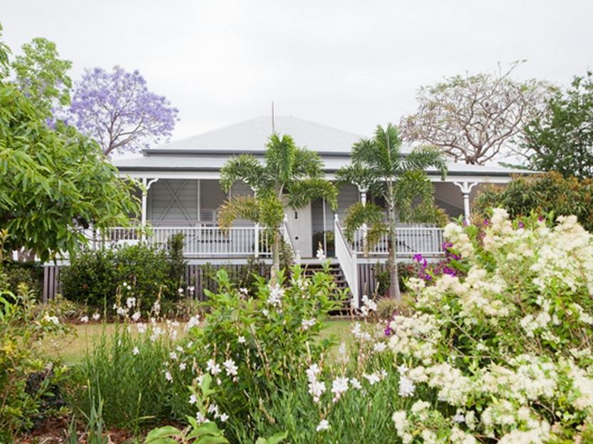 Mango Hill Farm