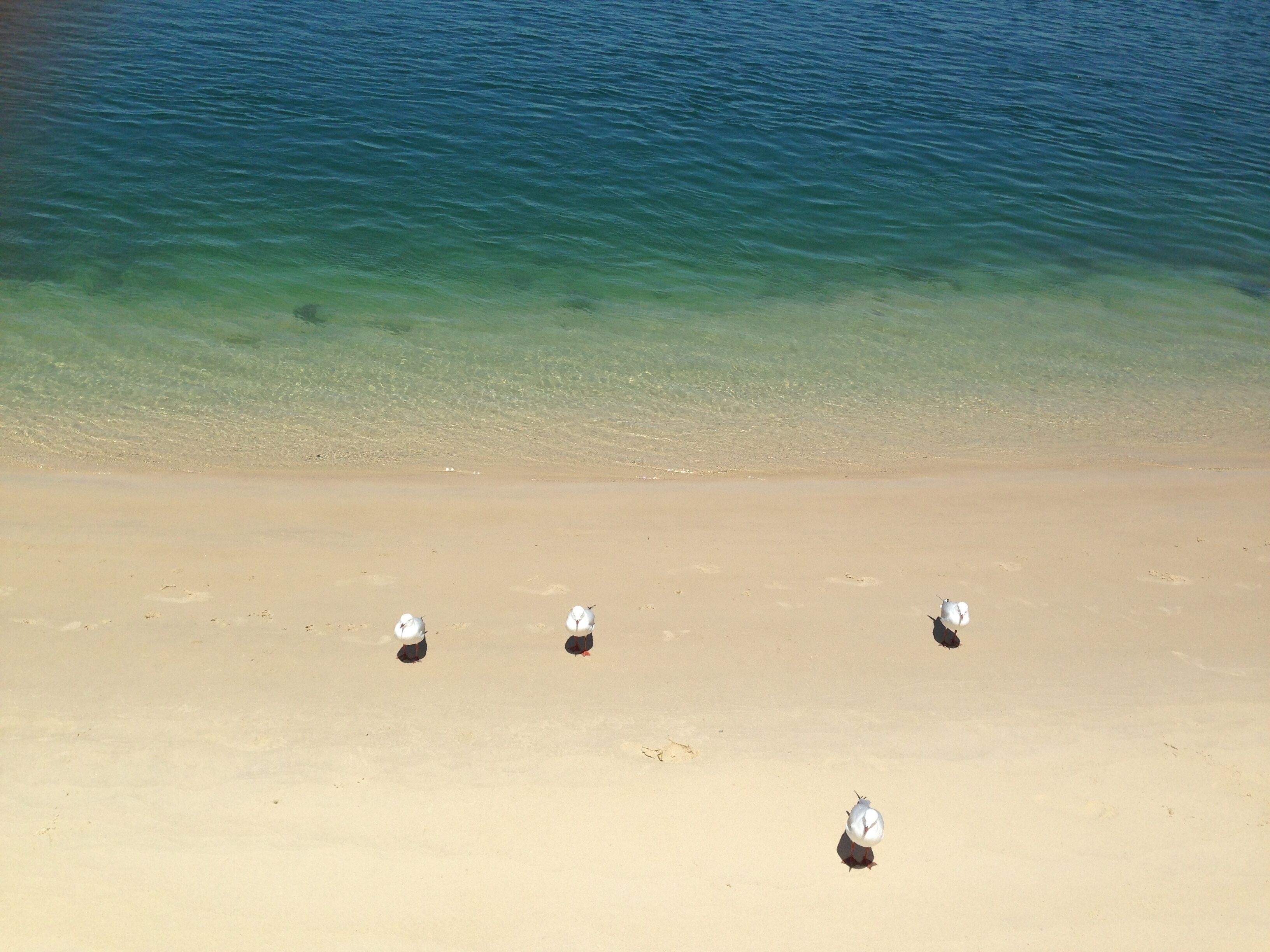 XYL Seaside Homestay