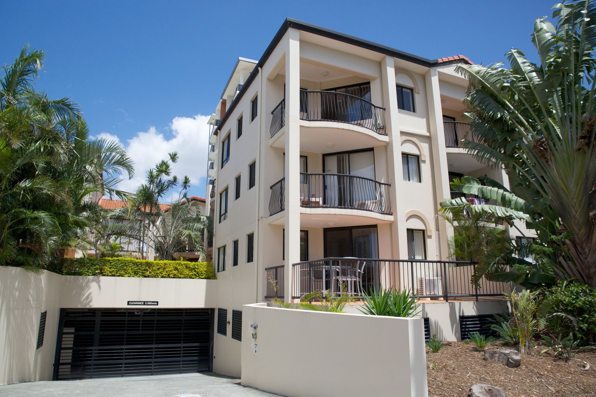 Chevron Palms