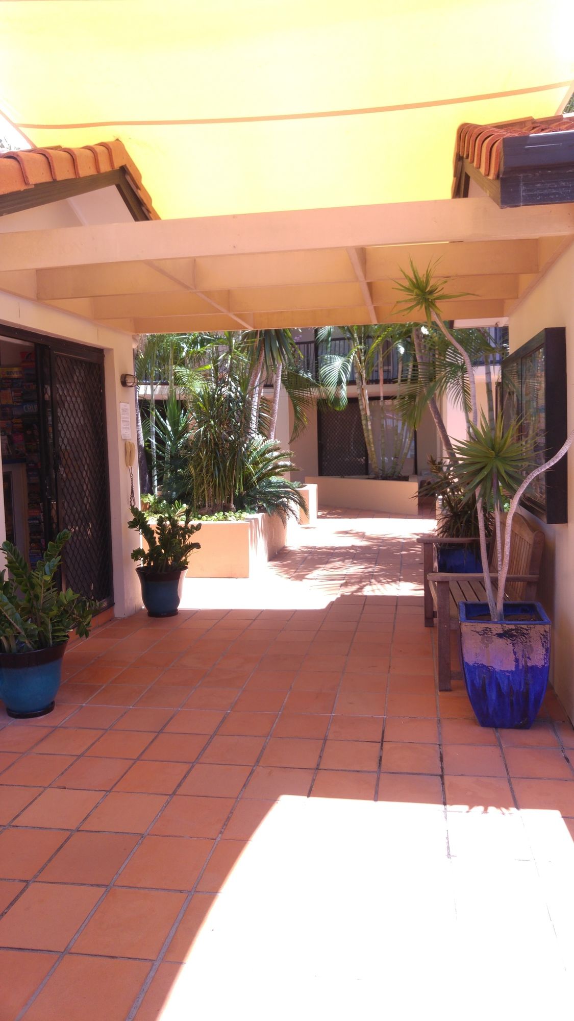 Chevron Palms