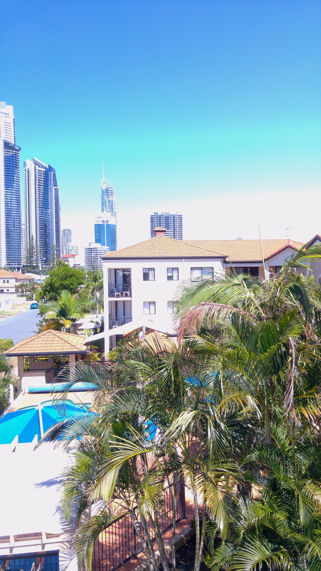Chevron Palms