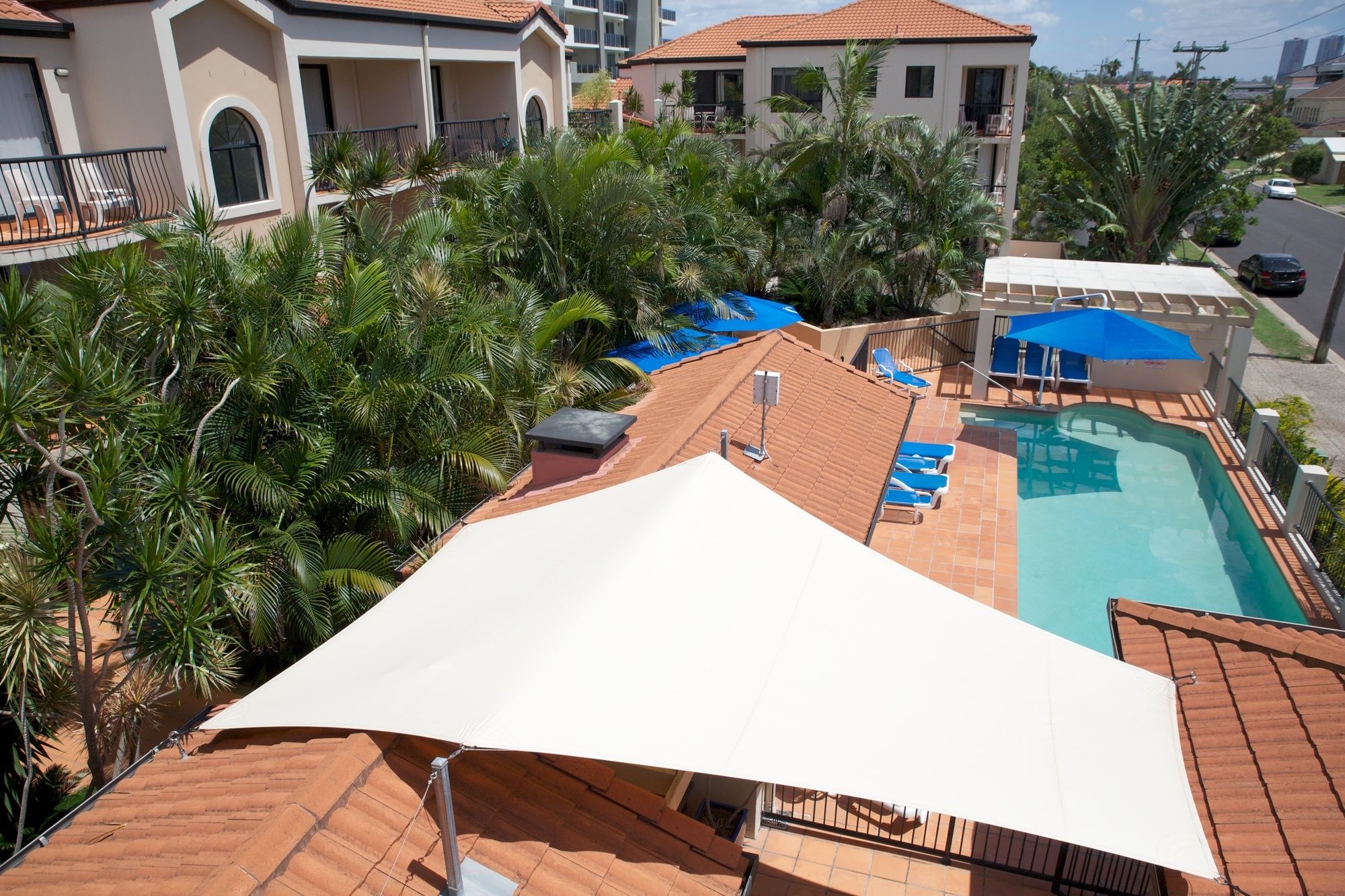 Chevron Palms