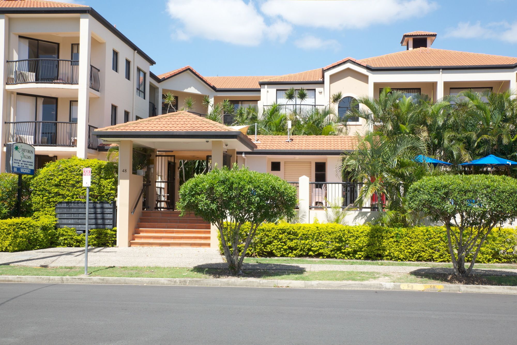 Chevron Palms