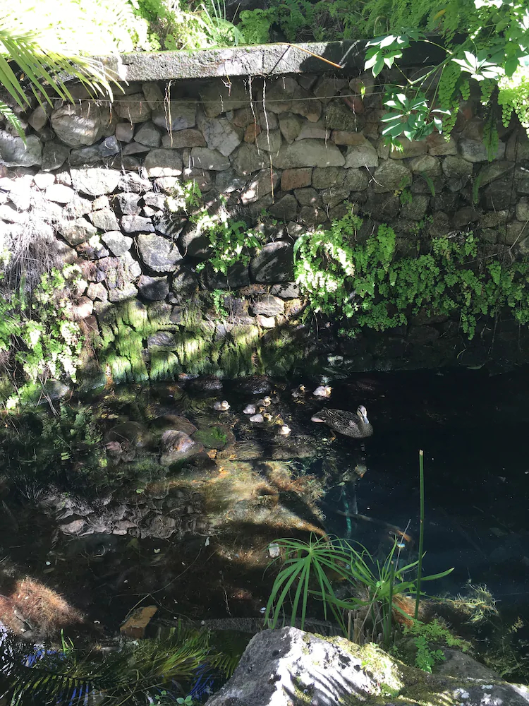 Copacabana Holiday Apartments