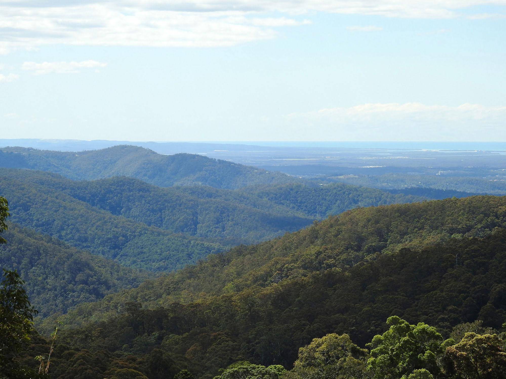 The Tamborine