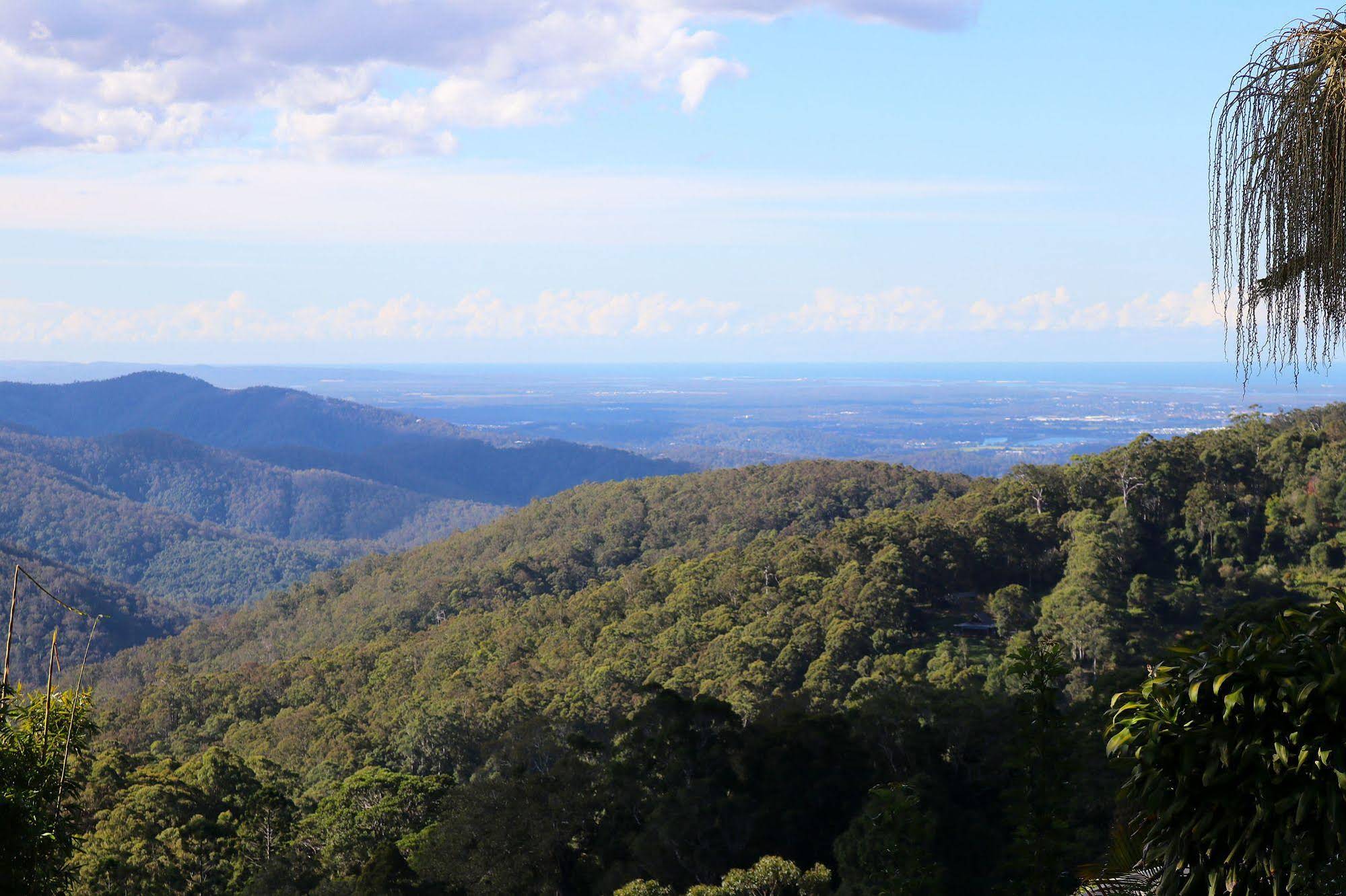 The Tamborine