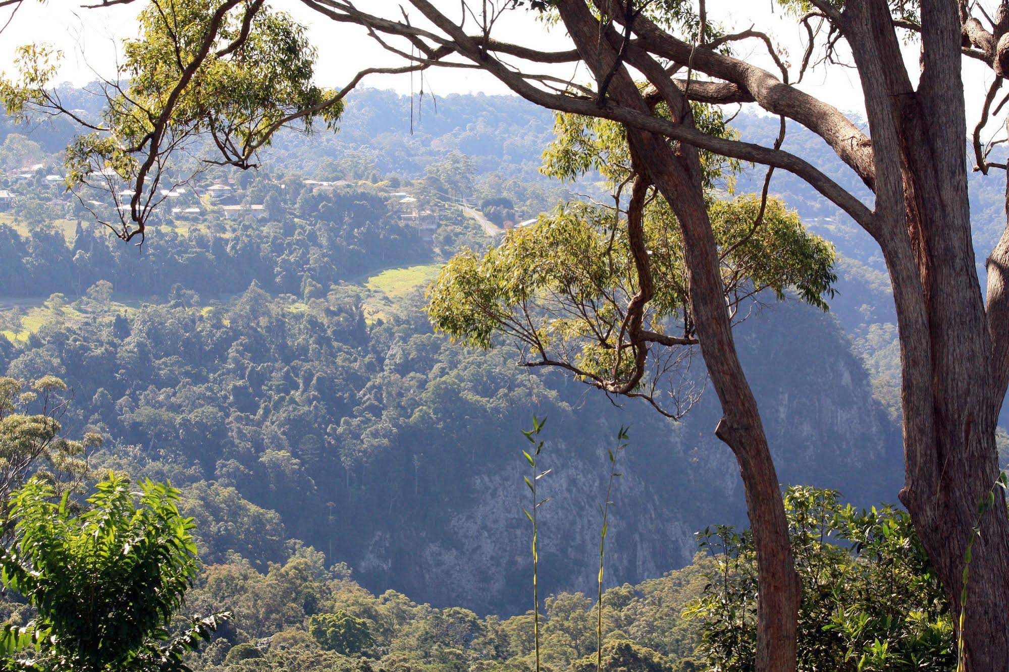 The Tamborine