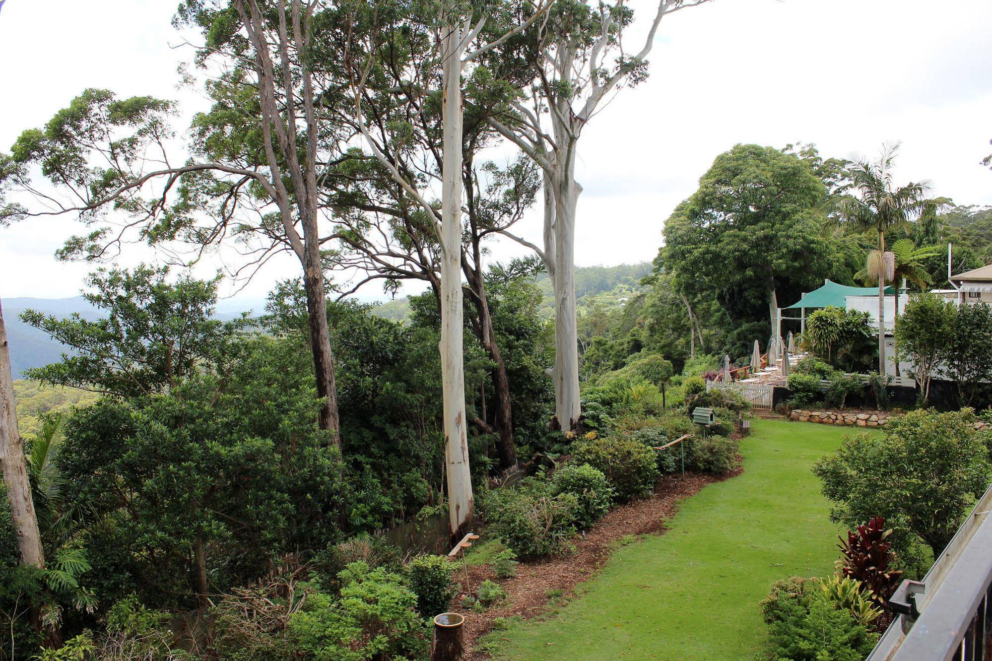 The Tamborine