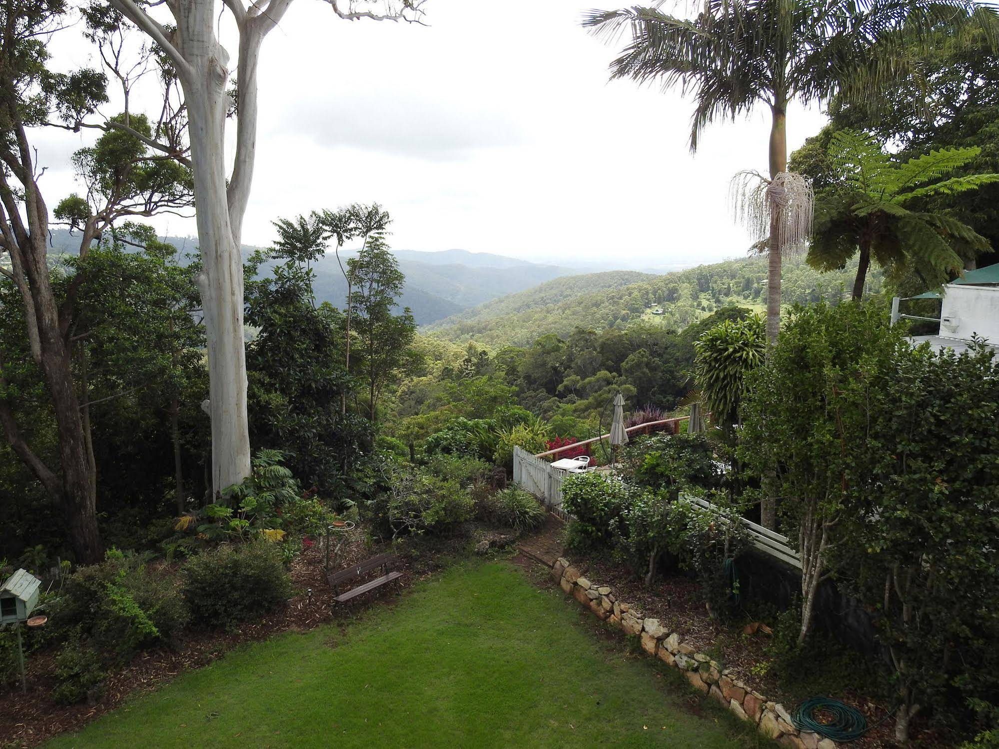 The Tamborine