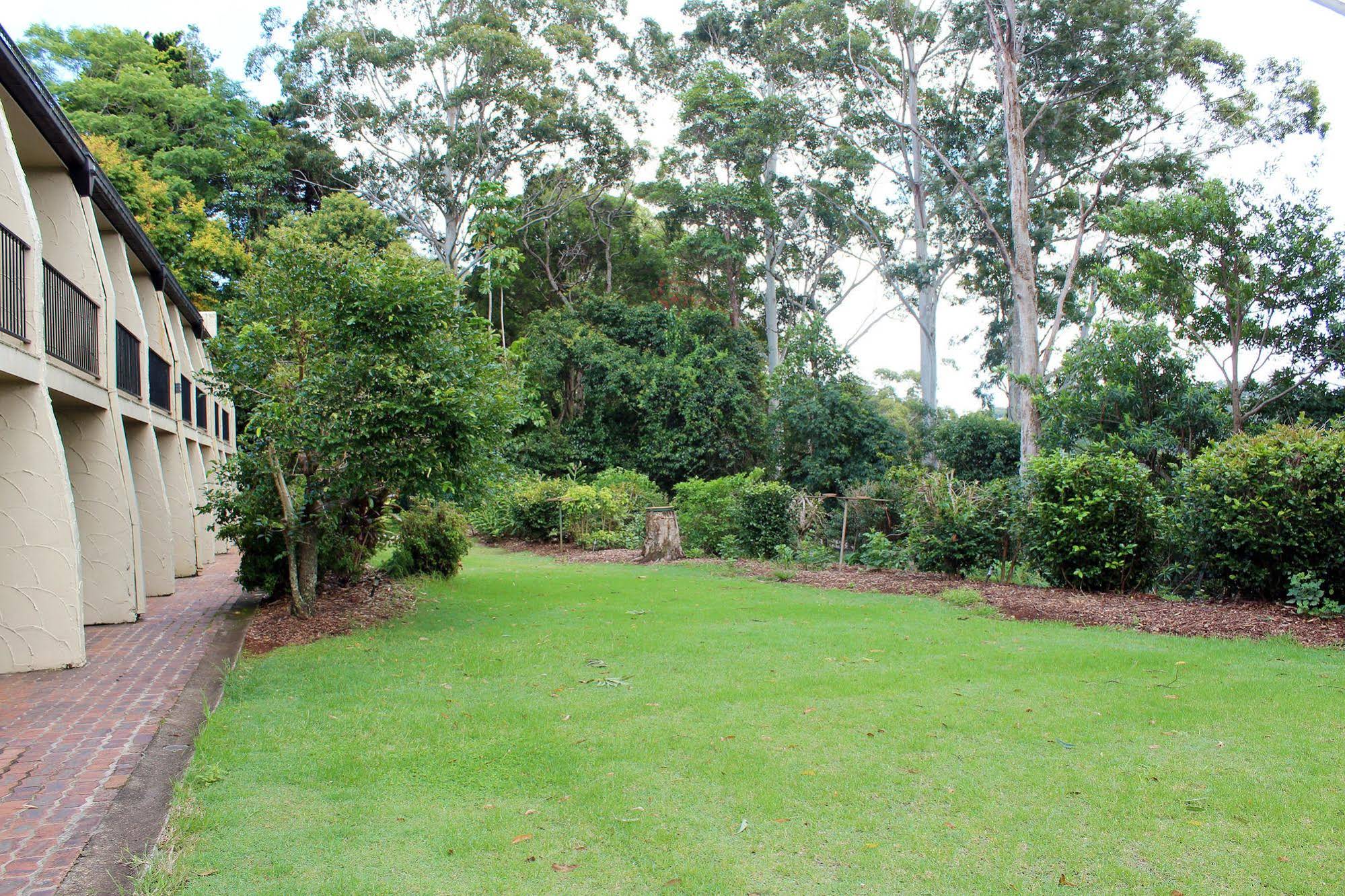 The Tamborine