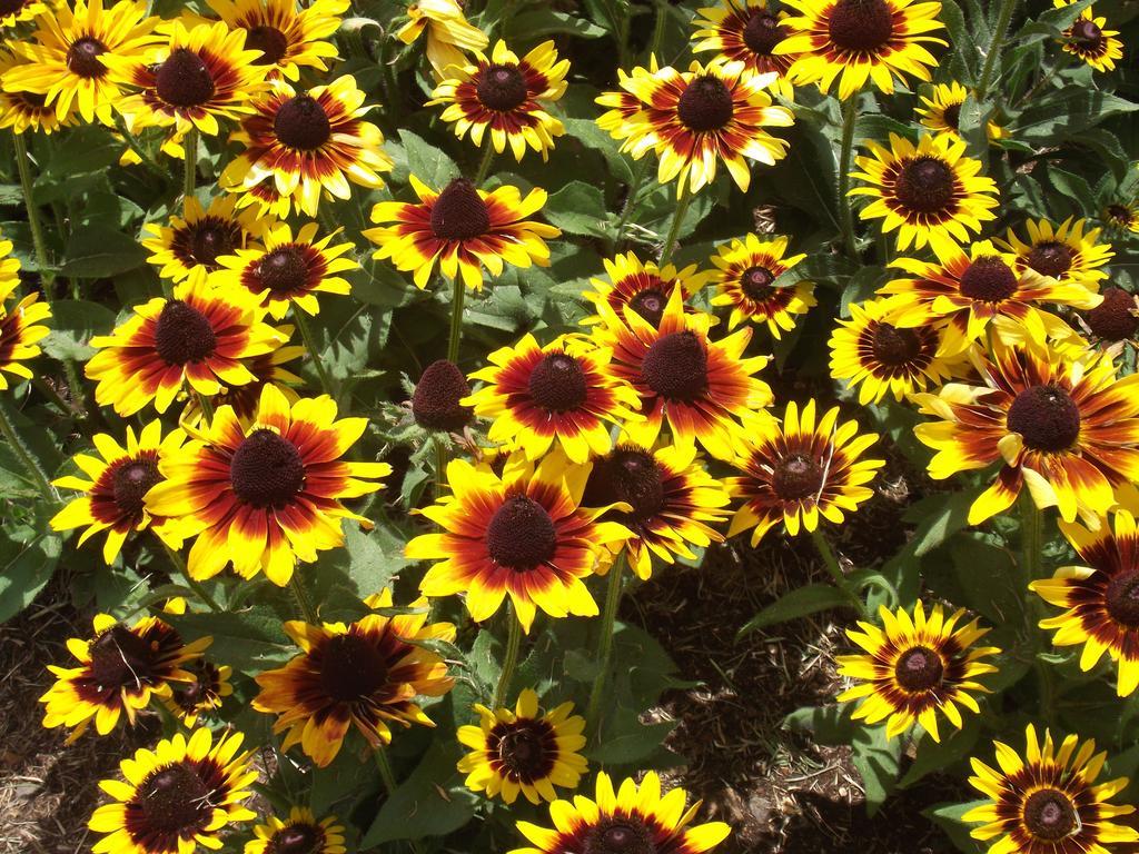 Eastgate Motel on the Range