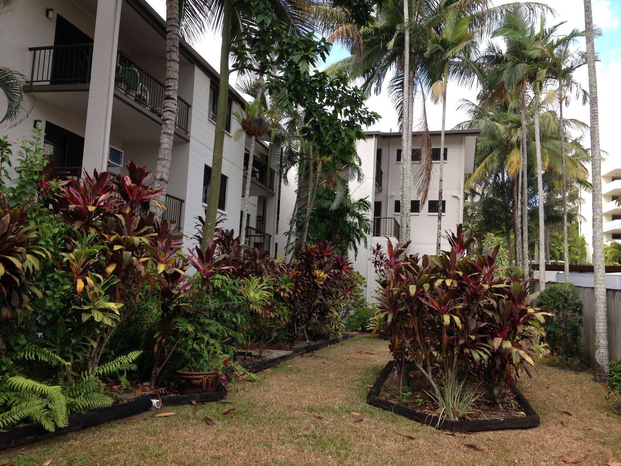 Palms At Trinity