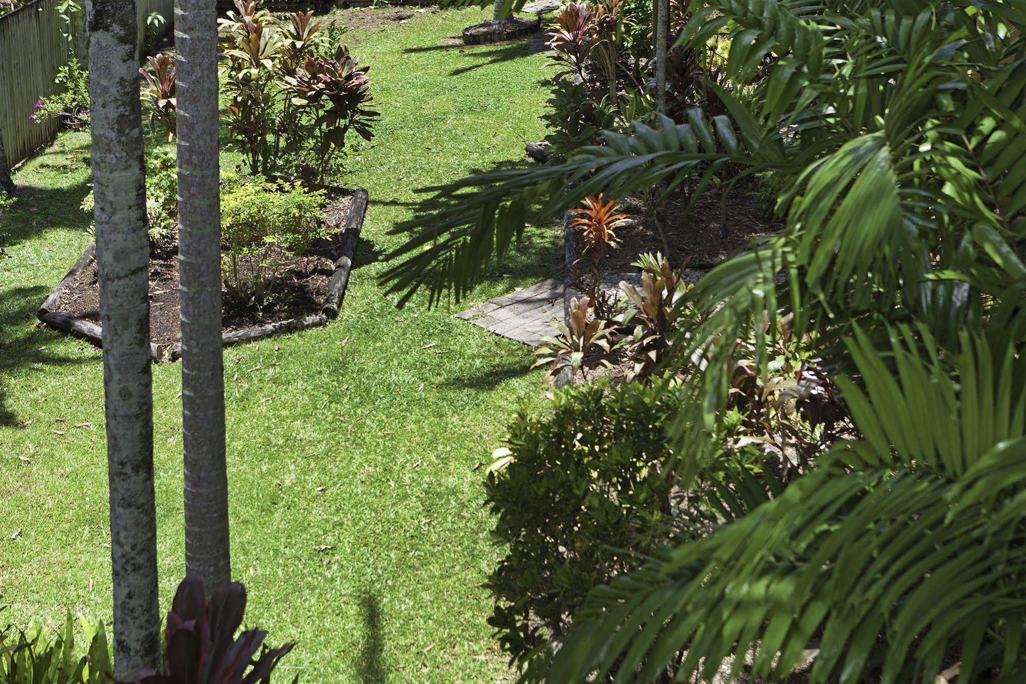 Palms At Trinity