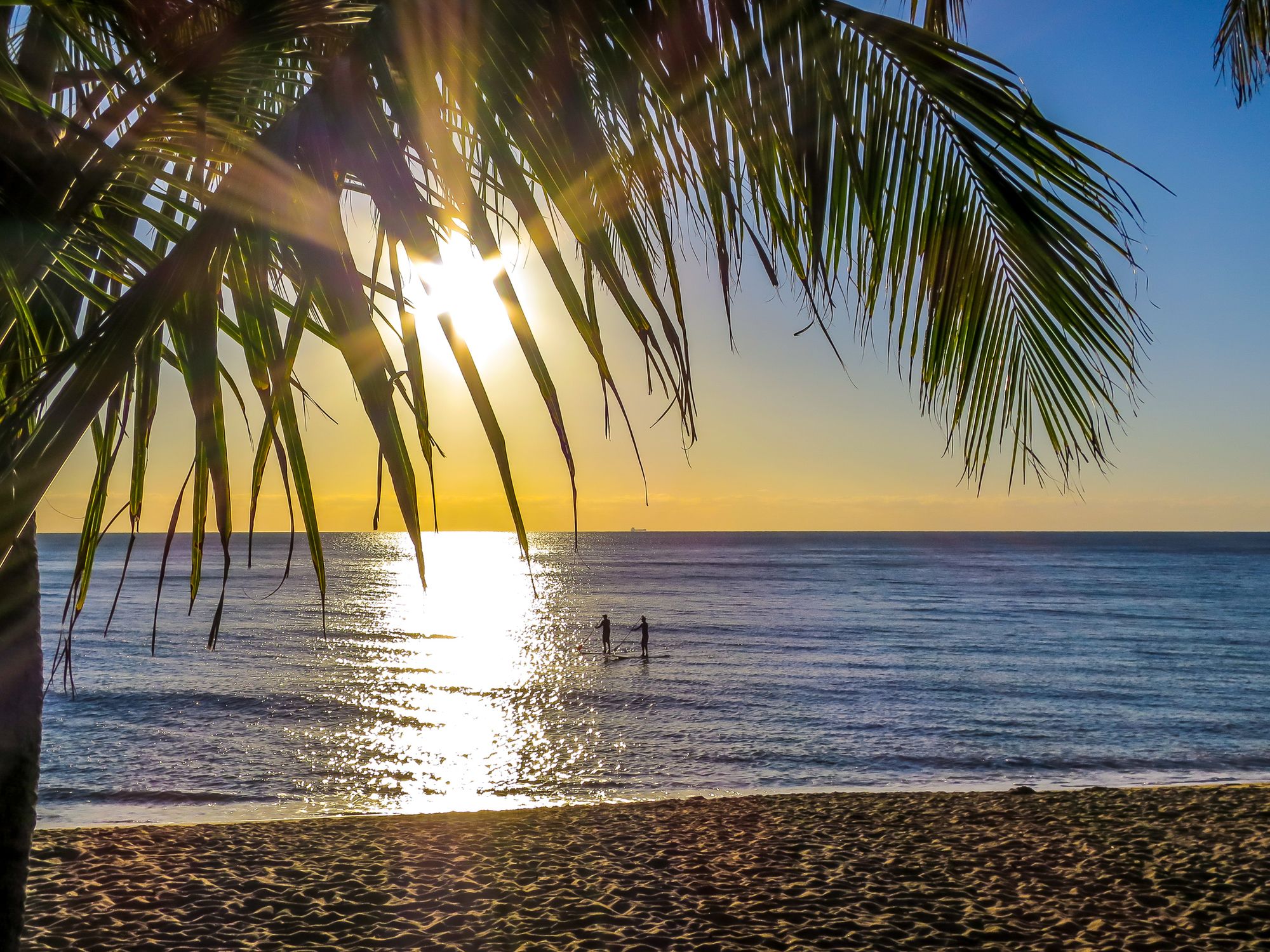 Roydon Beachfront Holiday Apartments