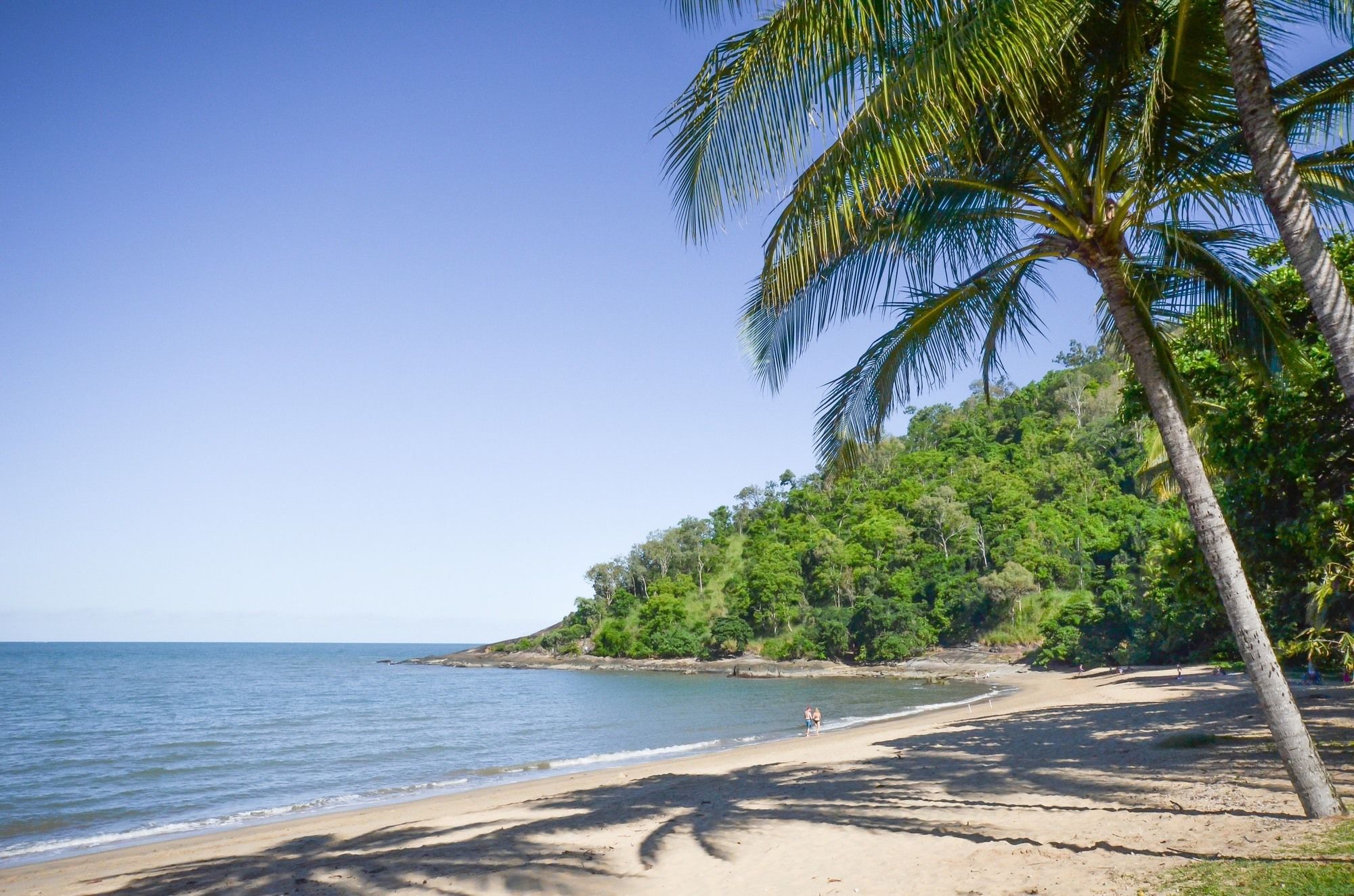 Roydon Beachfront Holiday Apartments