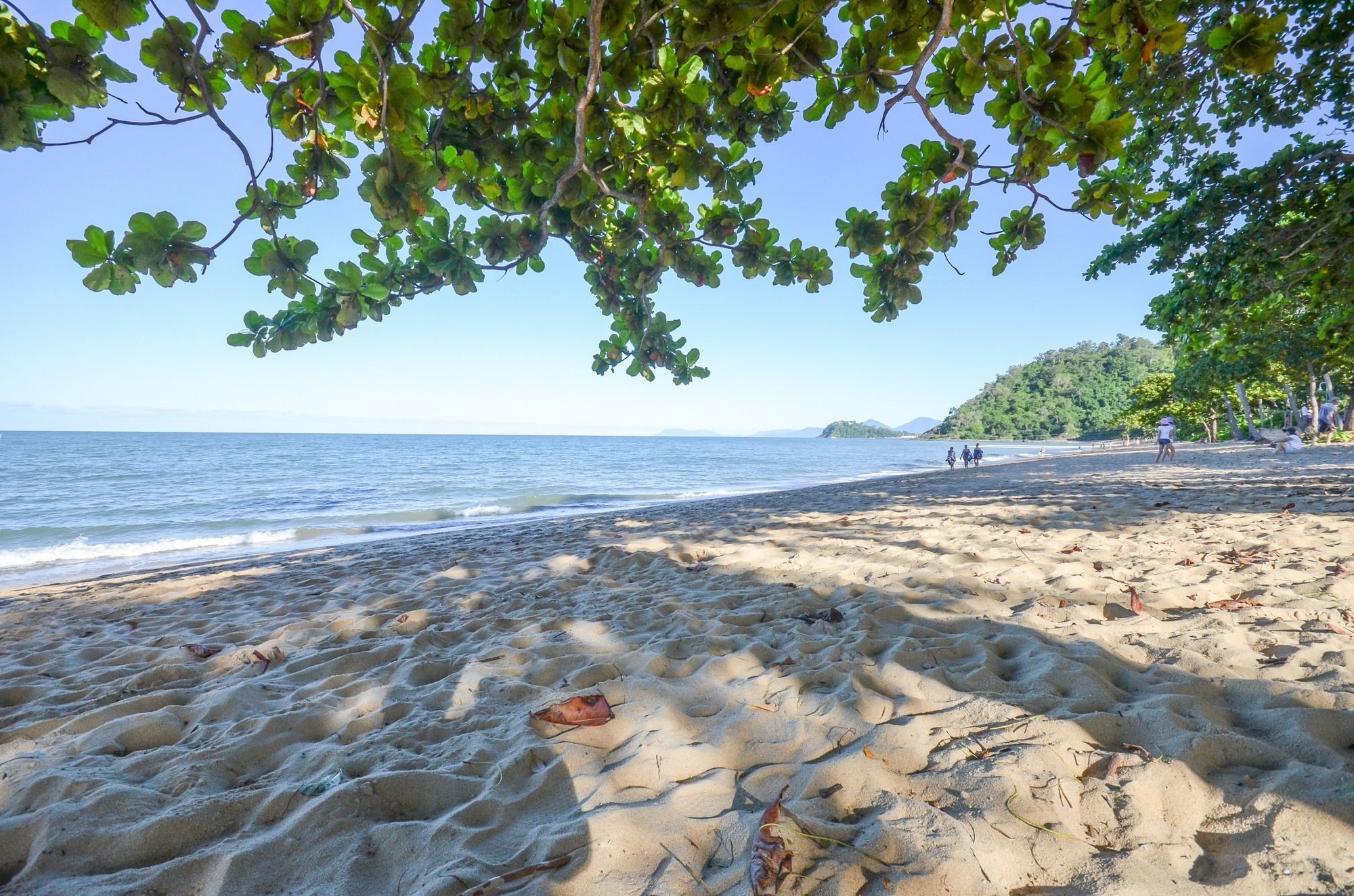 Roydon Beachfront Holiday Apartments