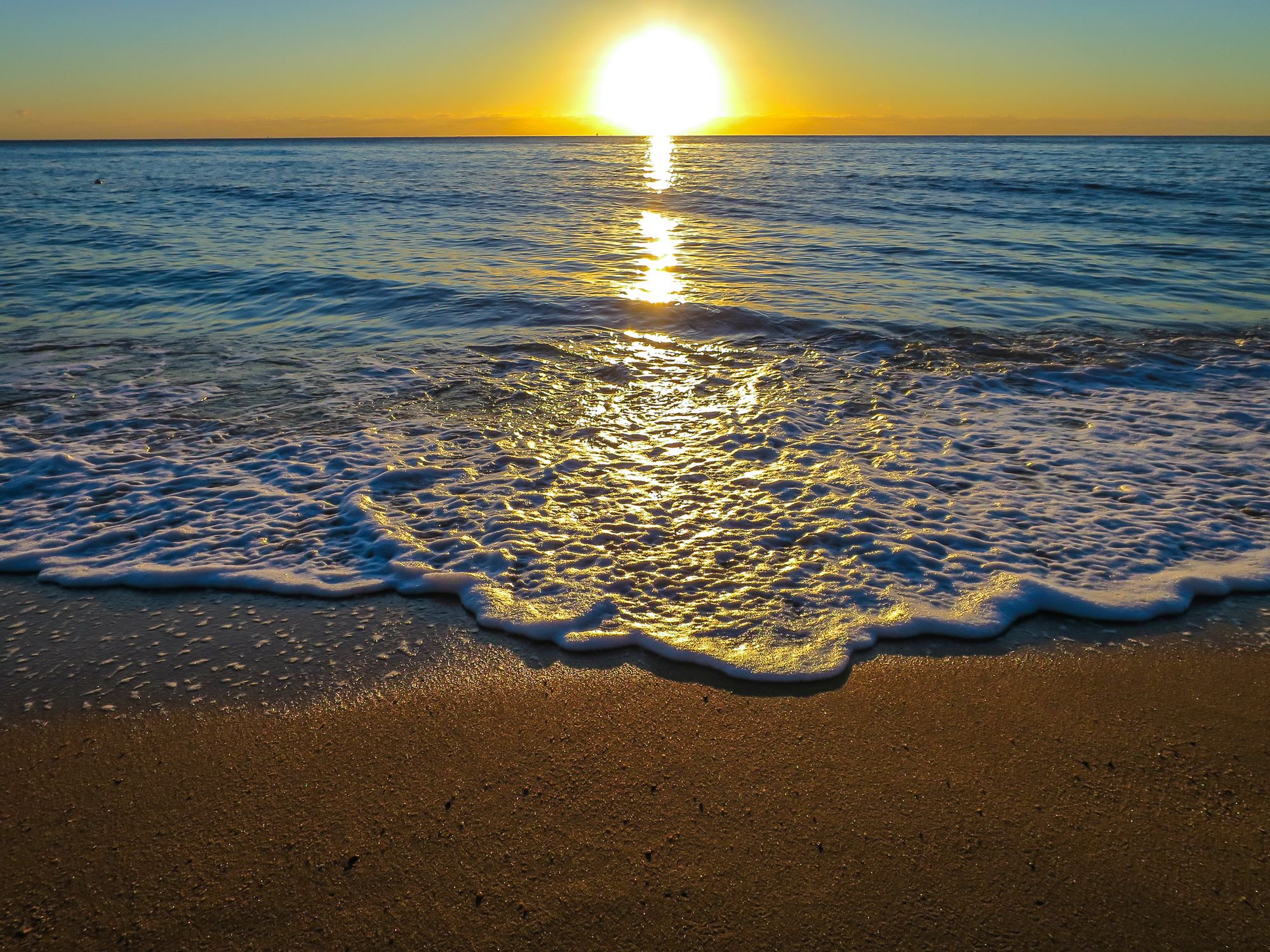 Roydon Beachfront Holiday Apartments