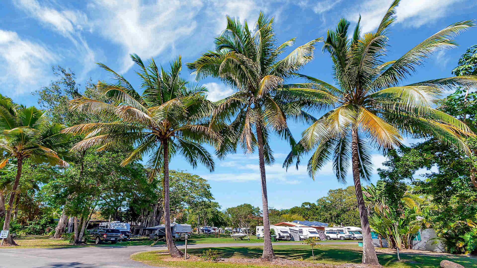 Daintree Beach Resort