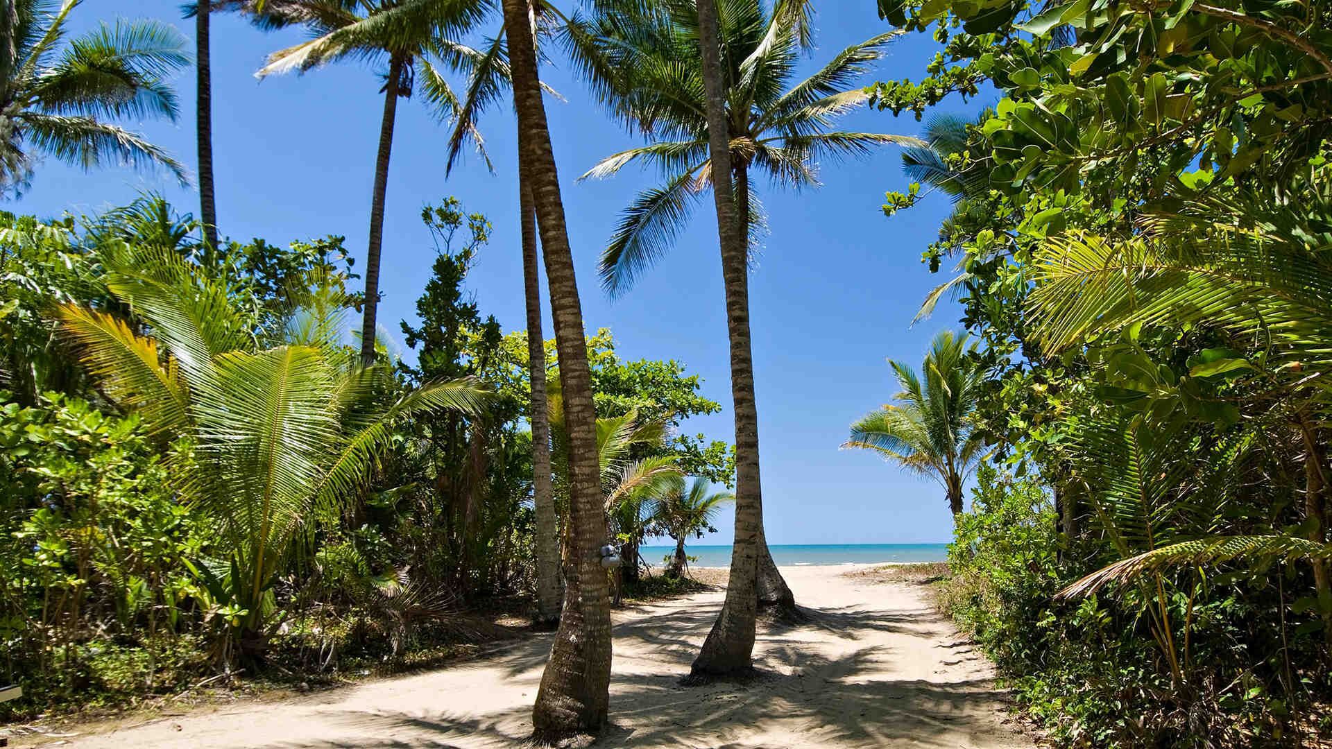 Daintree Beach Resort